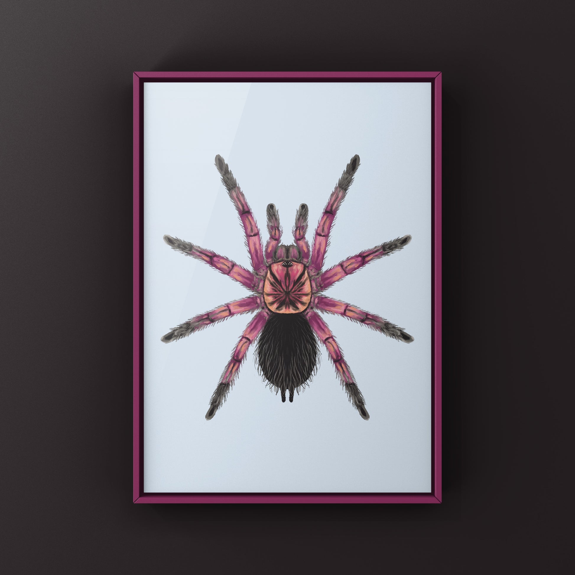 Detailed art print of a Duran Giant Birdeater Tarantula (Pamphobeteus sp. Duran) with vibrant colors and intricate spider details.