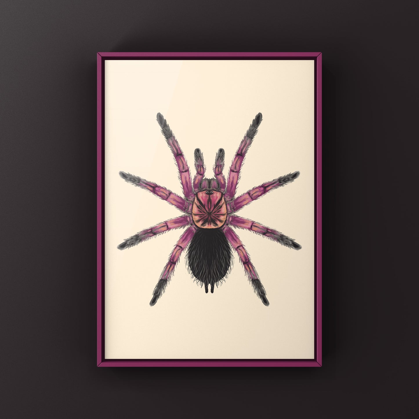 Art print of a Duran Giant Birdeater Tarantula (Pamphobeteus sp. Duran) with detailed illustration of the large spider.