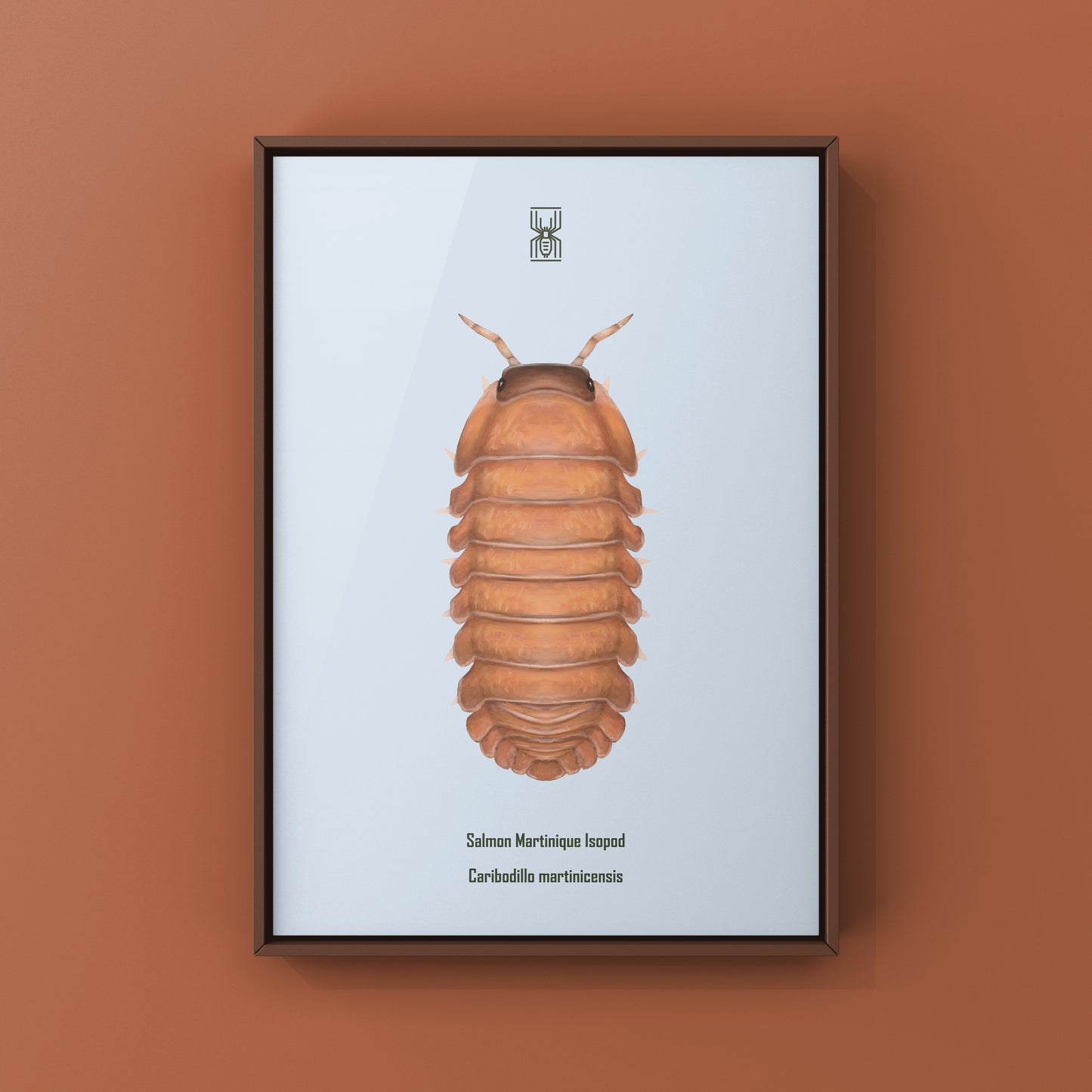 Salmon Martinique Isopod art print featuring detailed illustration of Caribodillo martinicensis, by The Silk Ranch.