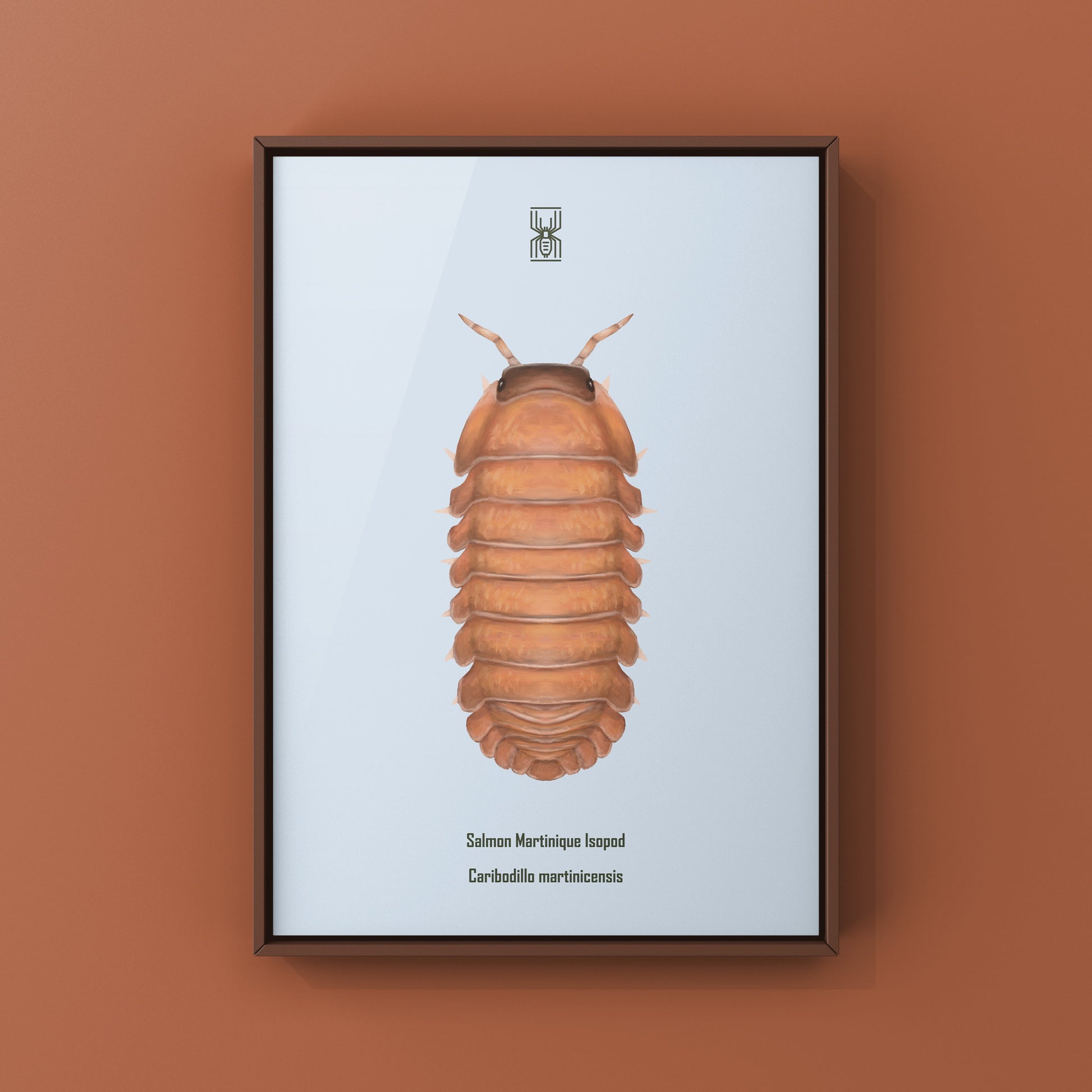 Salmon Martinique Isopod art print featuring detailed illustration of Caribodillo martinicensis, by The Silk Ranch.