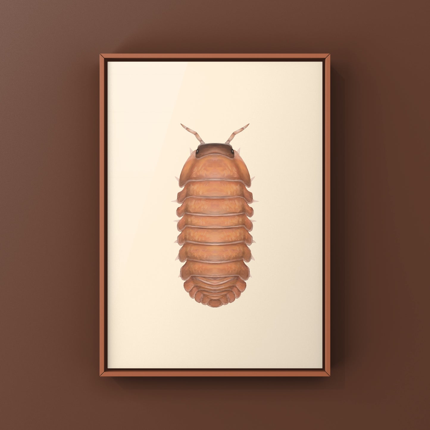 Salmon Martinique Isopod art print by The Silk Ranch showing detailed illustration of Caribodillo martinicensis on white background.