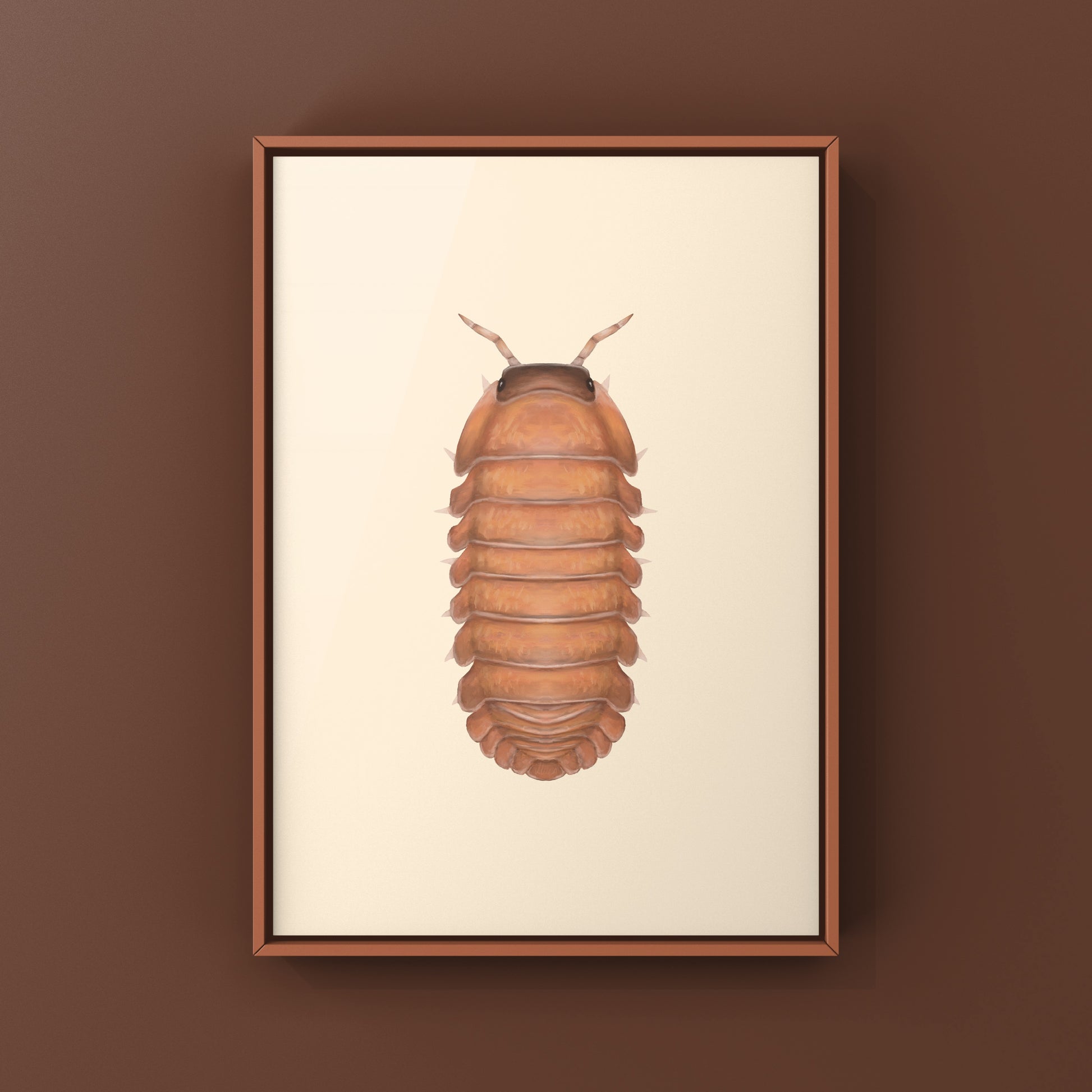 Salmon Martinique Isopod art print by The Silk Ranch showing detailed illustration of Caribodillo martinicensis on white background.