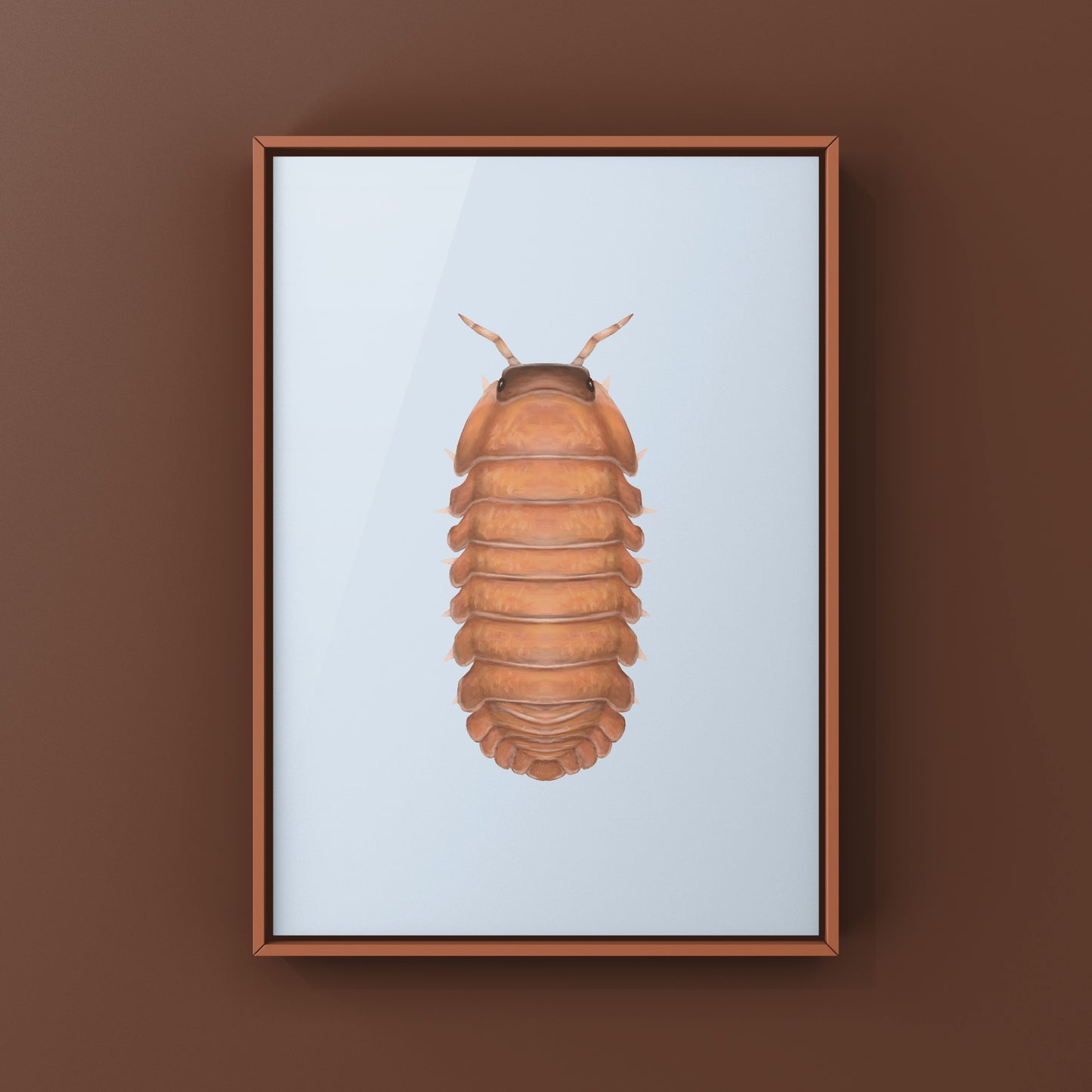 Salmon Martinique Isopod art print featuring detailed illustration of Caribodillo martinicensis on white background.