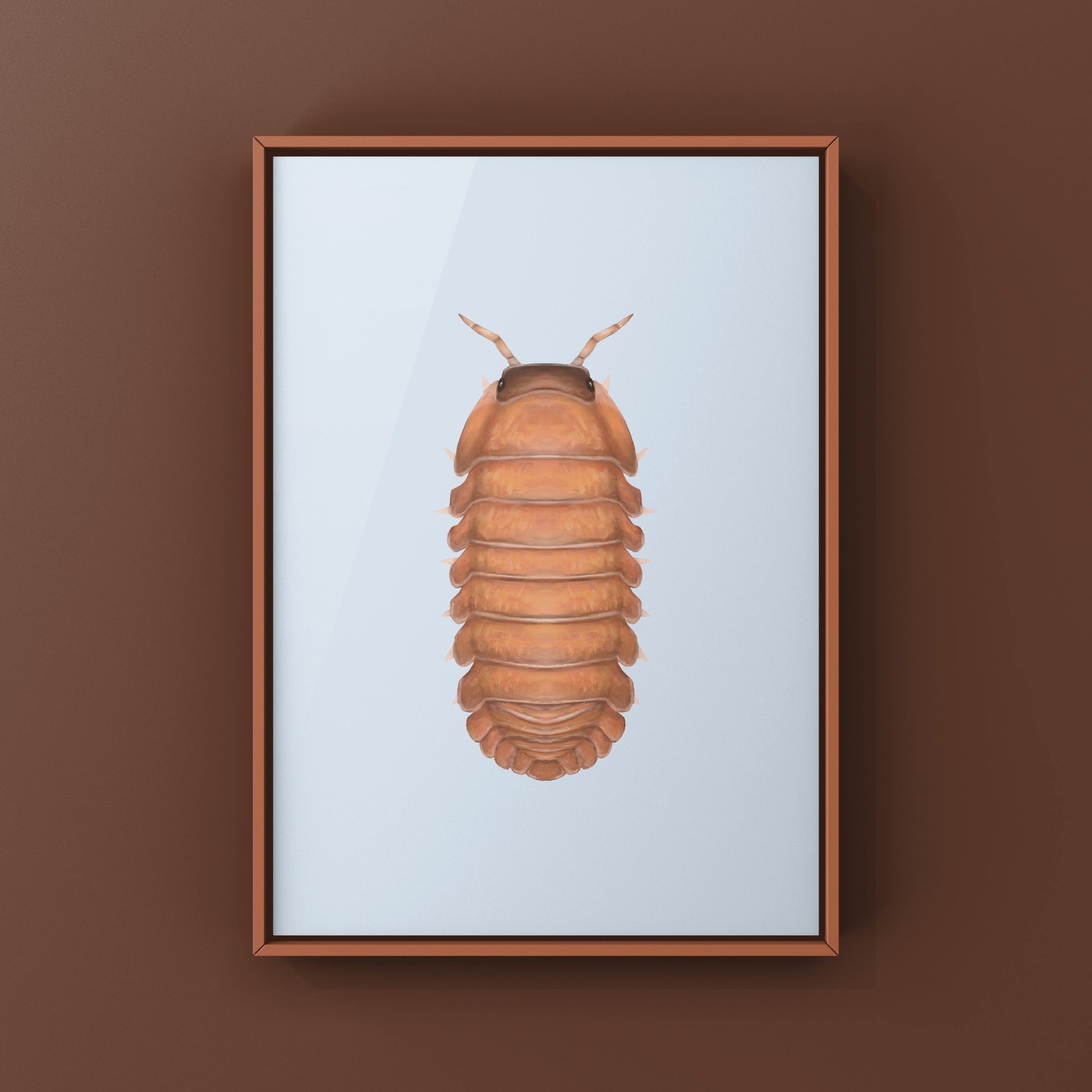 Salmon Martinique Isopod art print featuring detailed illustration of Caribodillo martinicensis on white background.