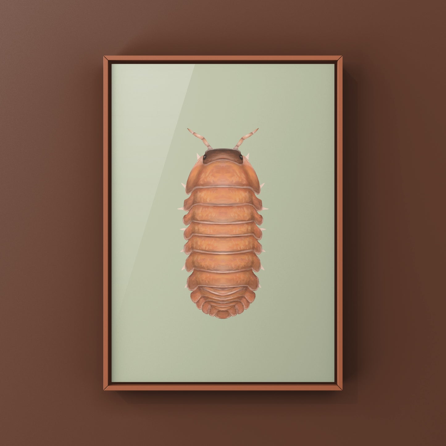 Salmon Martinique Isopod art print by The Silk Ranch featuring detailed illustration of Caribodillo martinicensis on white background.