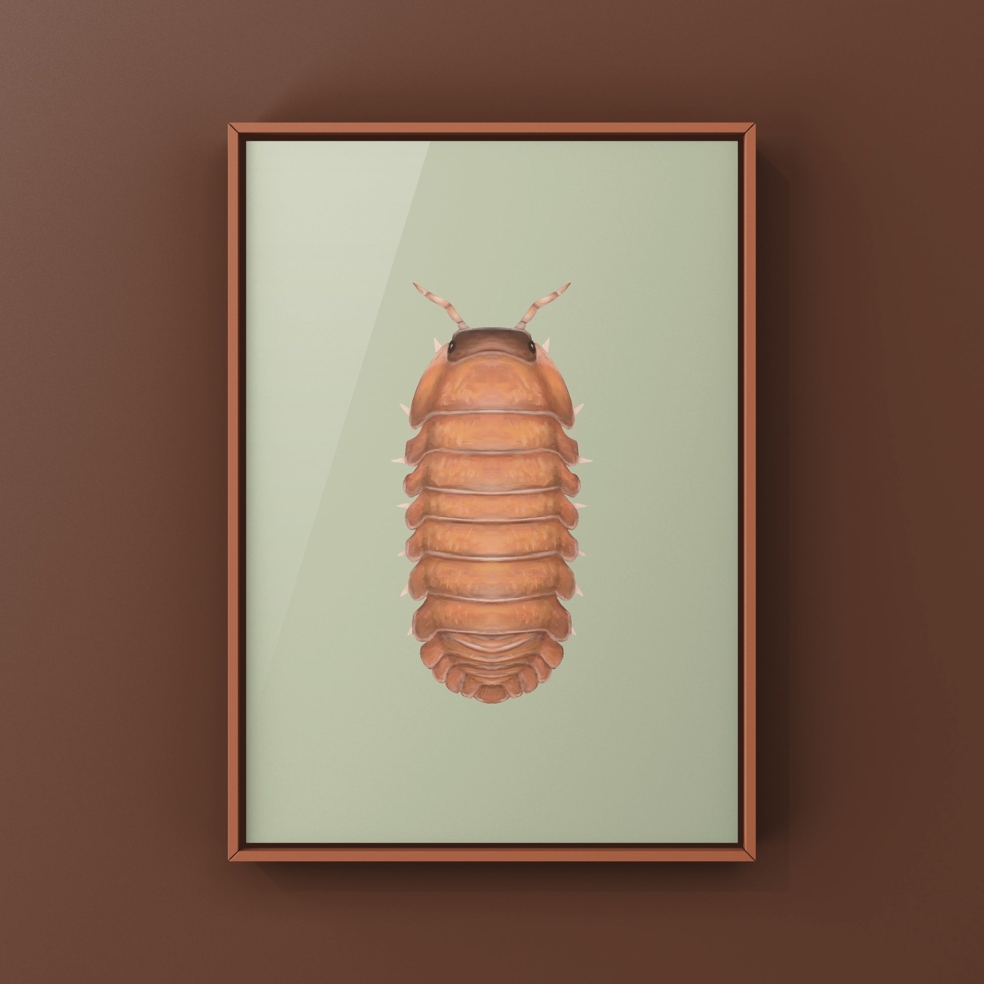 Salmon Martinique Isopod art print by The Silk Ranch featuring detailed illustration of Caribodillo martinicensis on white background.