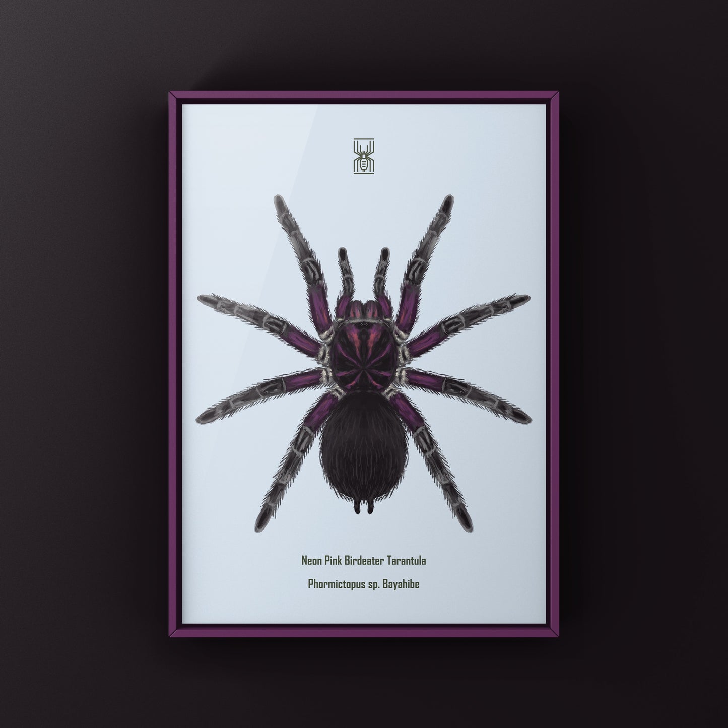 Neon pink Birdeater tarantula art print featuring Phormictopus sp. Bayahibe, showcasing vibrant colors and detailed arachnid illustration.