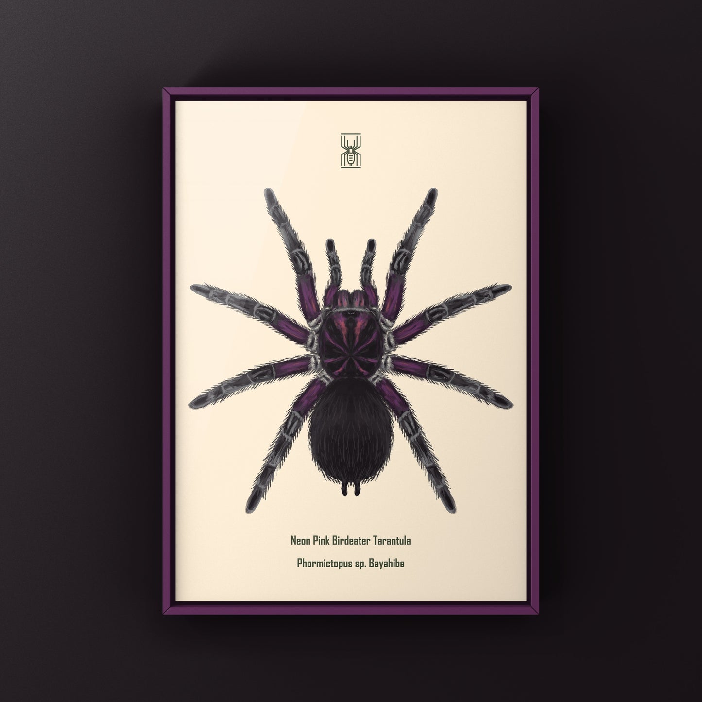 Neon pink birdeater tarantula art print featuring a Phormictopus sp. Bayahibe tarantula on white background, created by The Silk Ranch.
