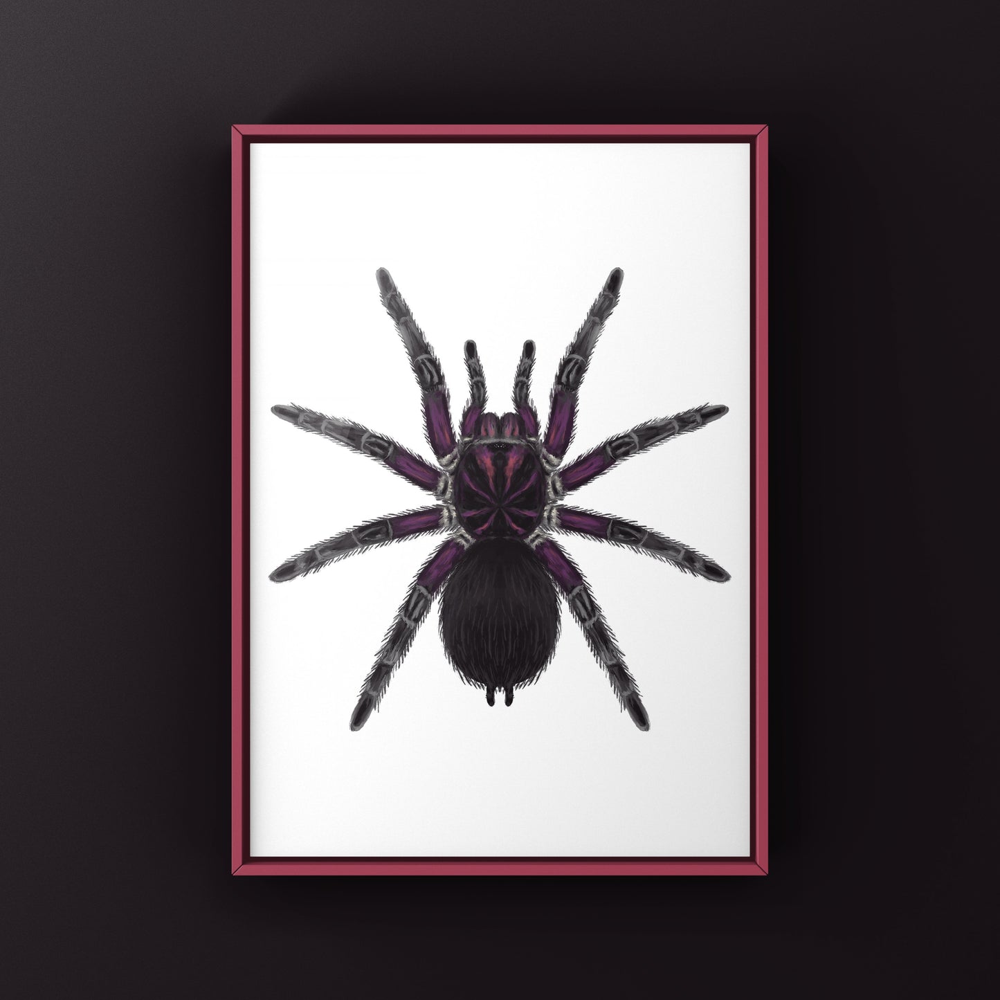 Neon pink Birdeater tarantula art print featuring a Phormictopus sp. Bayahibe spider on a white background.