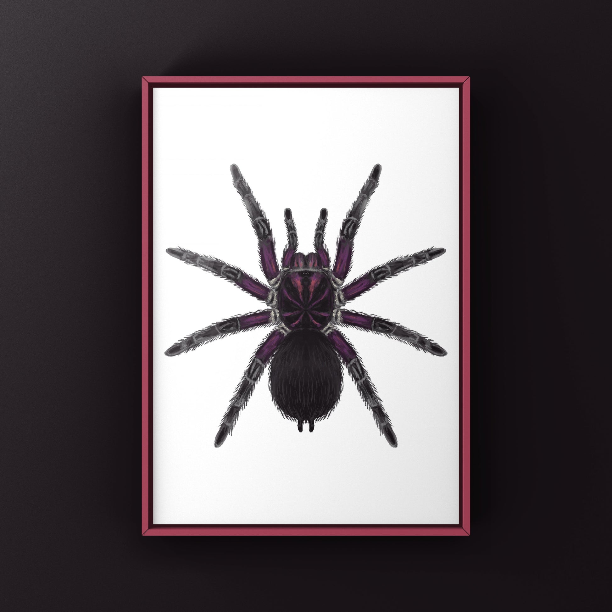 Neon pink Birdeater tarantula art print featuring a Phormictopus sp. Bayahibe spider on a white background.