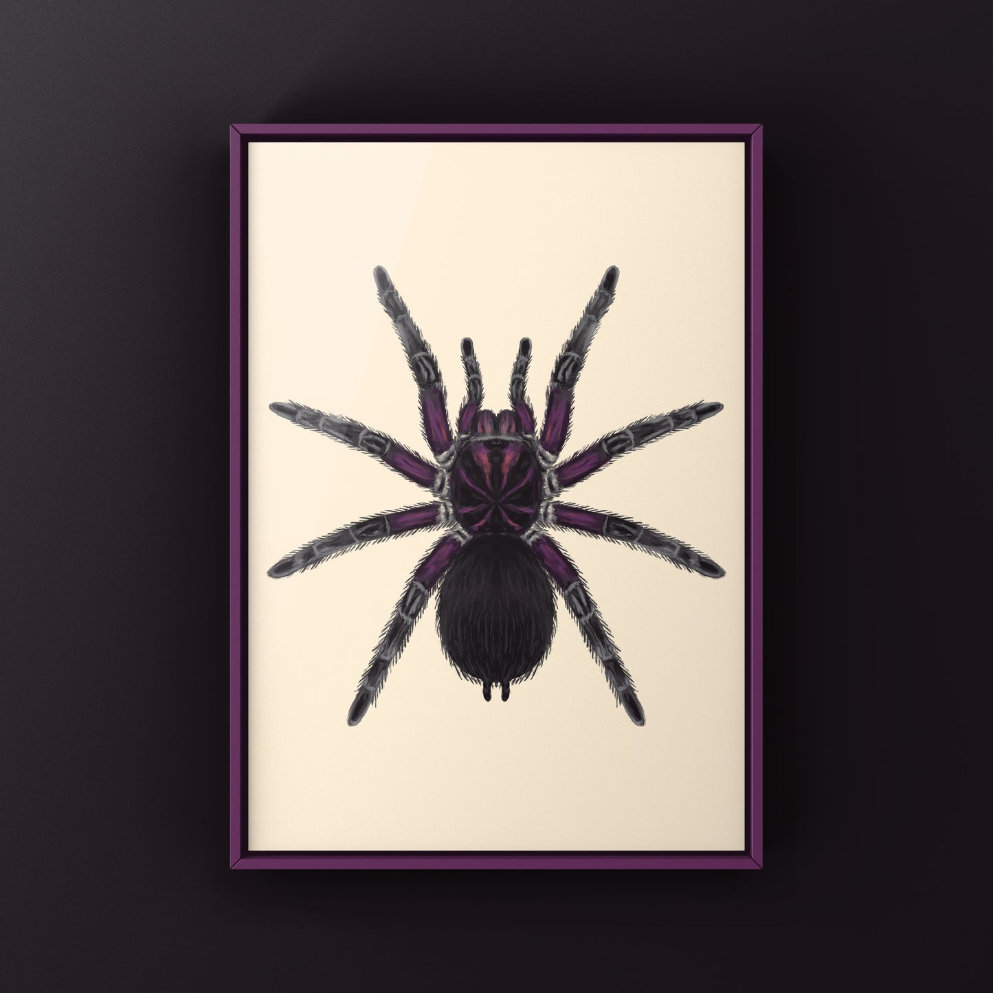 Neon pink Birdeater tarantula art print featuring a Phormictopus sp. Bayahibe spider on a white background.