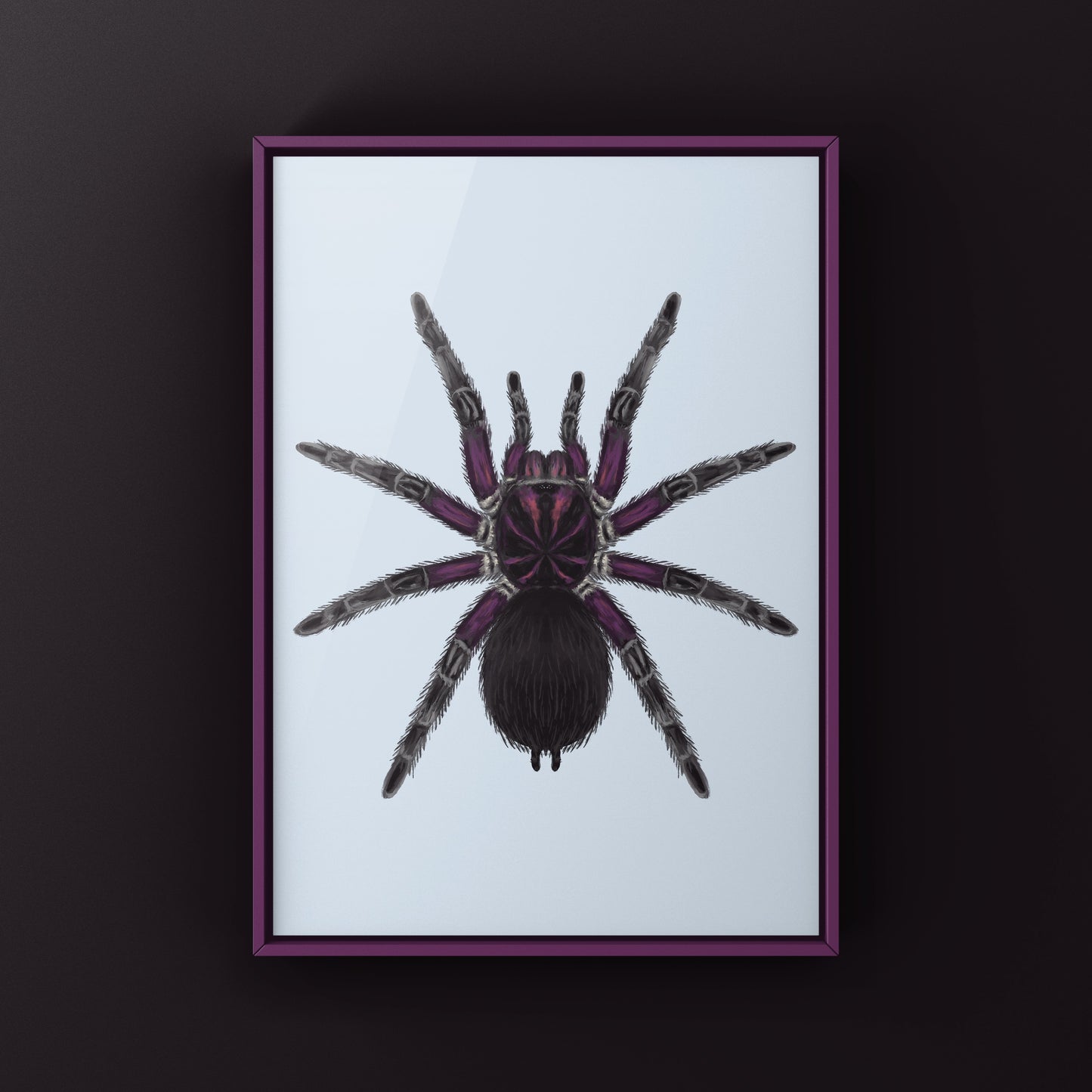 Neon pink Birdeater tarantula art print featuring Phormictopus sp. Bayahibe, detailed illustration by The Silk Ranch.