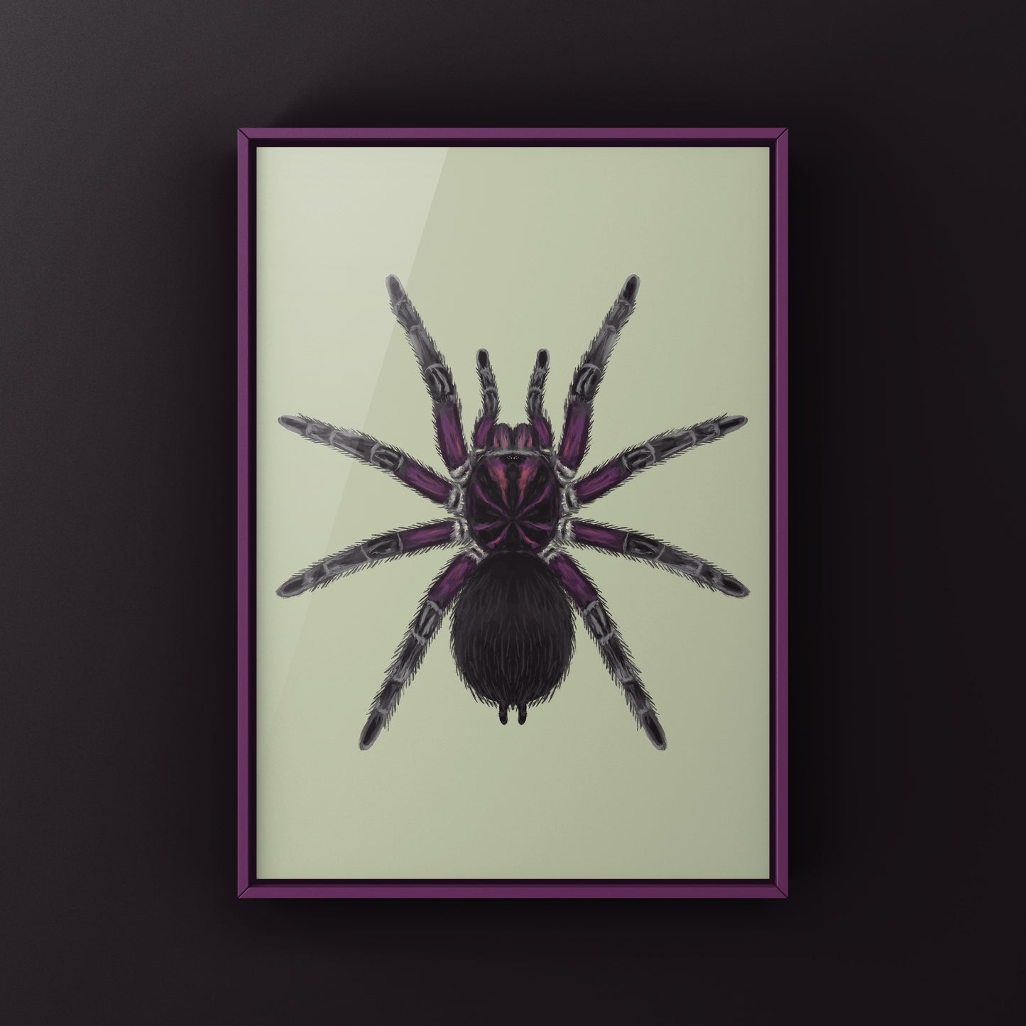 Neon pink birdeater tarantula art print featuring a Phormictopus sp. Bayahibe tarantula on a neutral background.