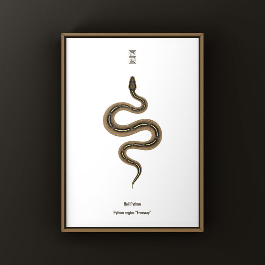 Freeway Ball Python (Python regius) Art Print from The Silk Ranch