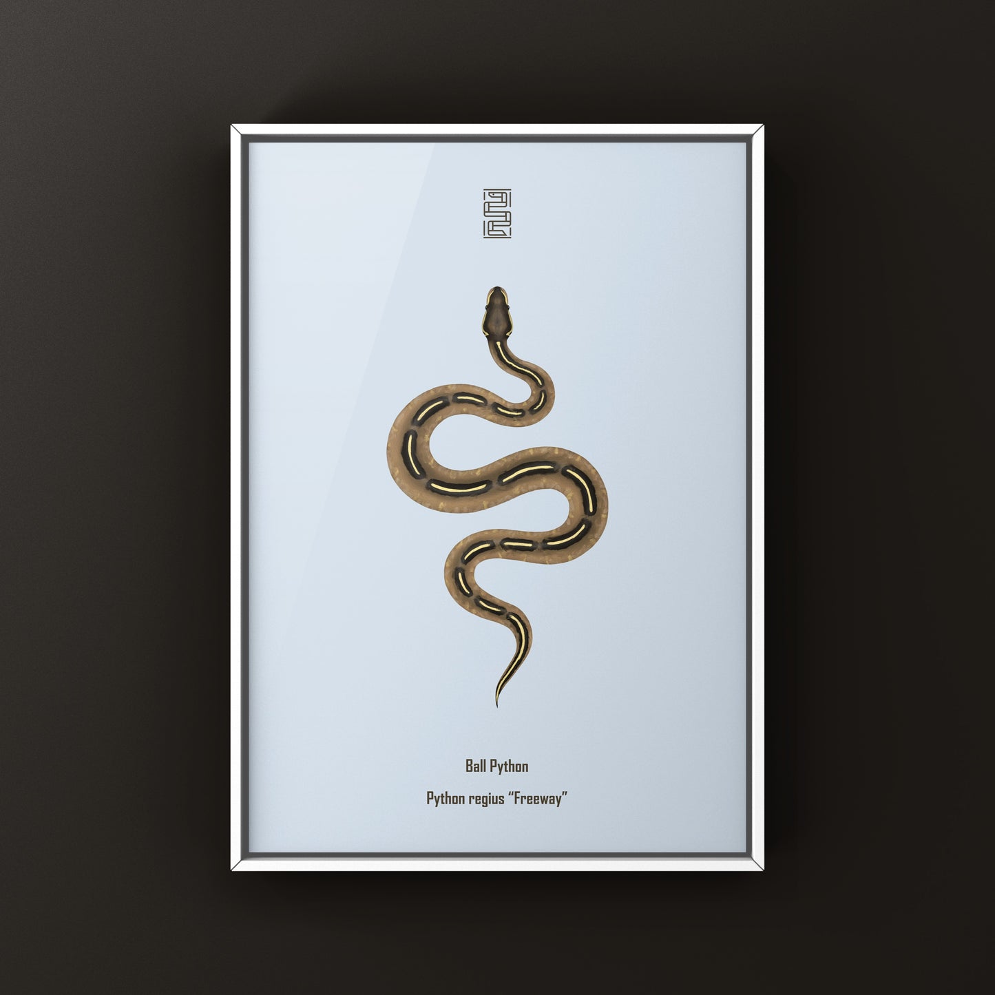 Art print of a Freeway Ball Python (Python regius) by The Silk Ranch, showcasing realistic reptile illustration on high-quality paper.