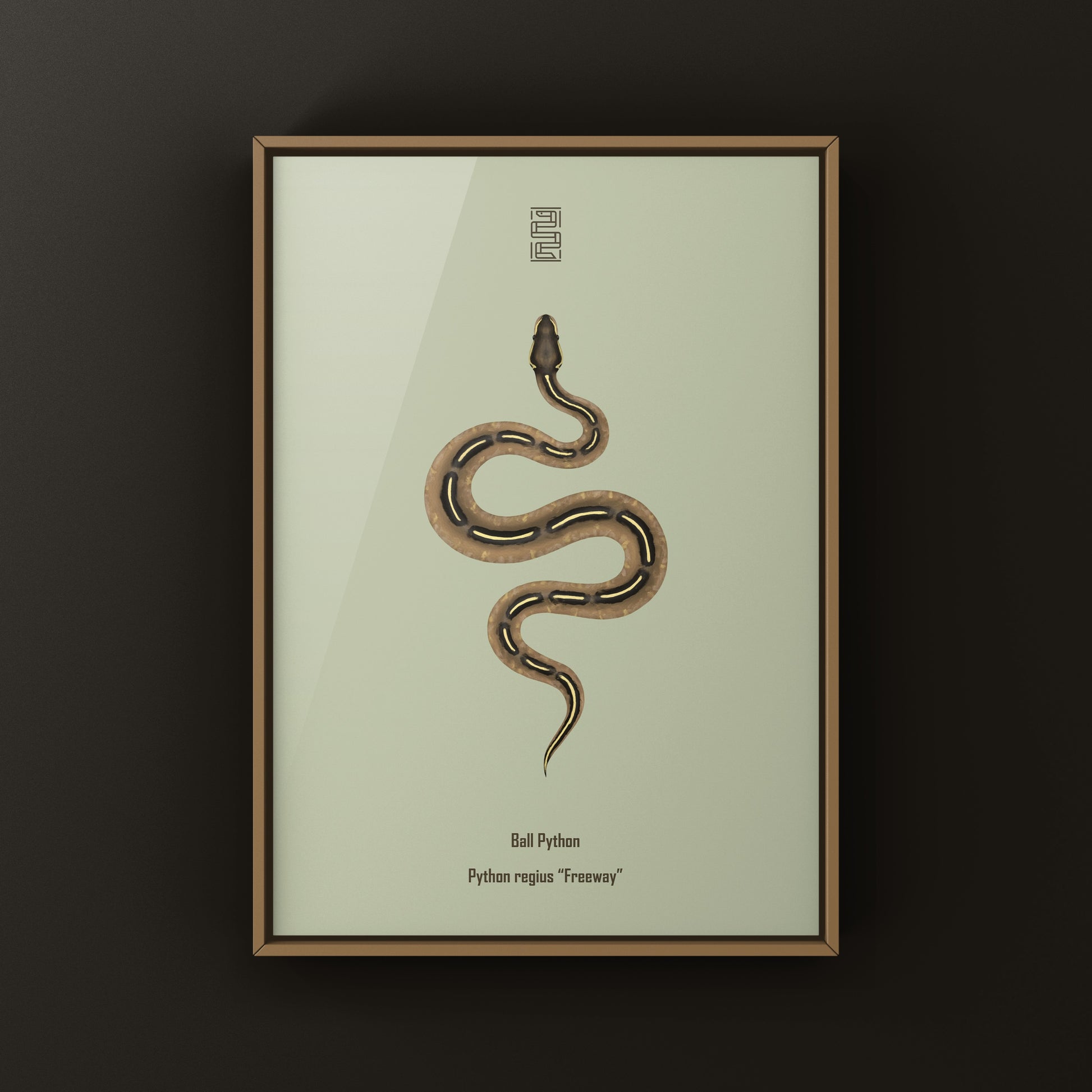 Colorful art print of a Freeway Ball Python (Python regius) by The Silk Ranch, showcasing detailed snake illustration.