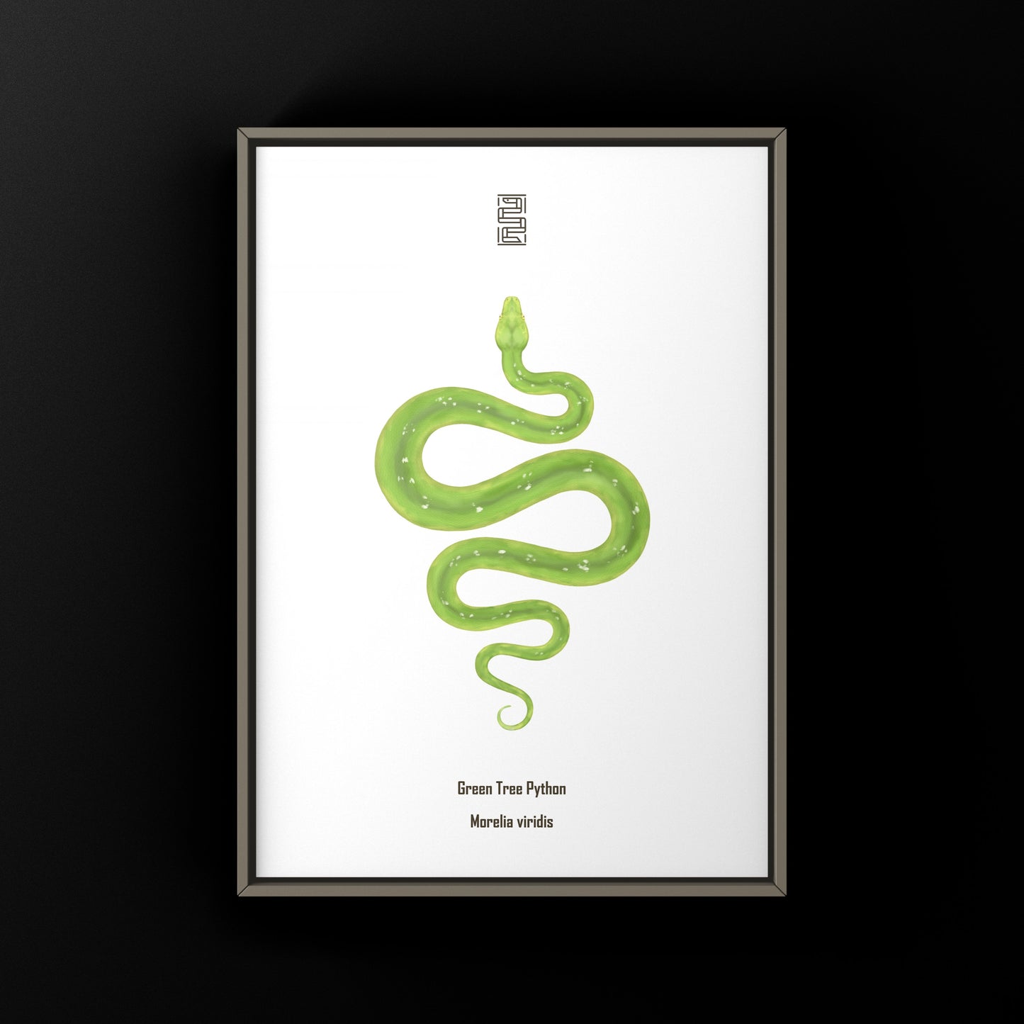 Green Tree Python art print by The Silk Ranch showcasing vibrant, detailed illustrations of the Morelia viridis snake.