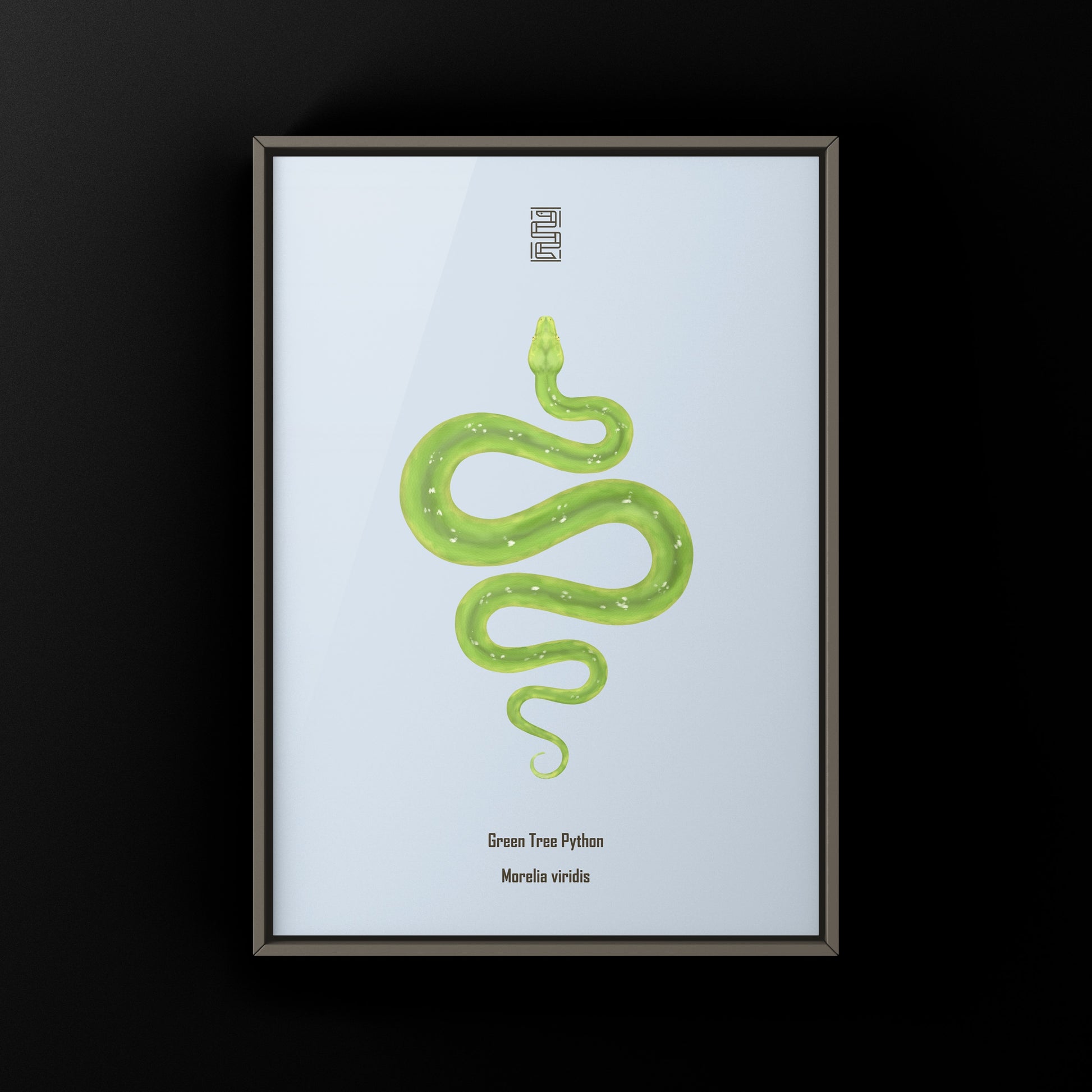 Green Tree Python art print by The Silk Ranch showing detailed illustration of the vibrant green snake on white background.