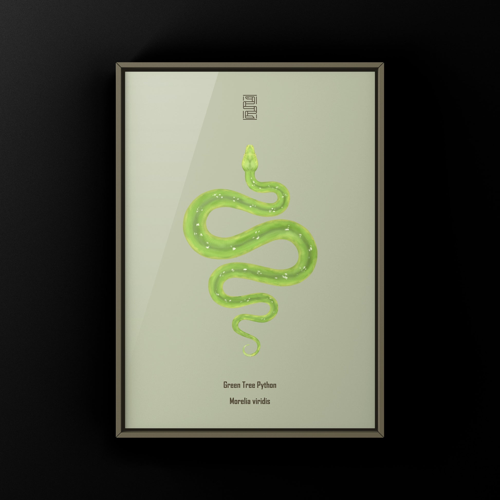 Green Tree Python art print by The Silk Ranch featuring vibrant green and blue coloration in a detailed snake illustration.