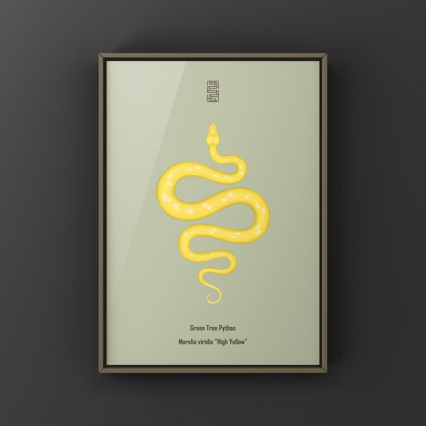 High yellow green tree python art print by The Silk Ranch, showcasing vibrant colors and detailed illustration of the Morelia viridis.