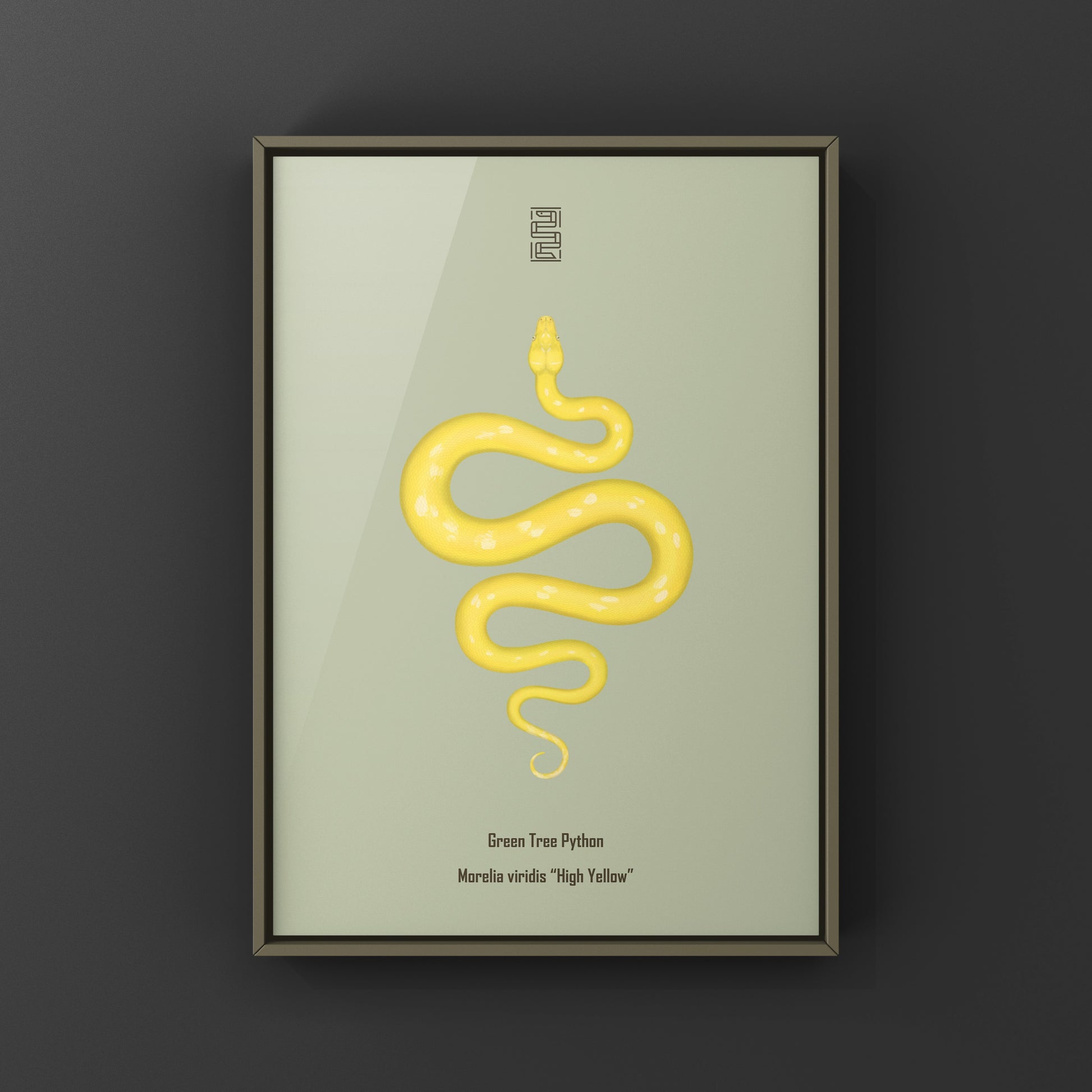 High yellow green tree python art print by The Silk Ranch, showcasing vibrant colors and detailed illustration of the Morelia viridis.
