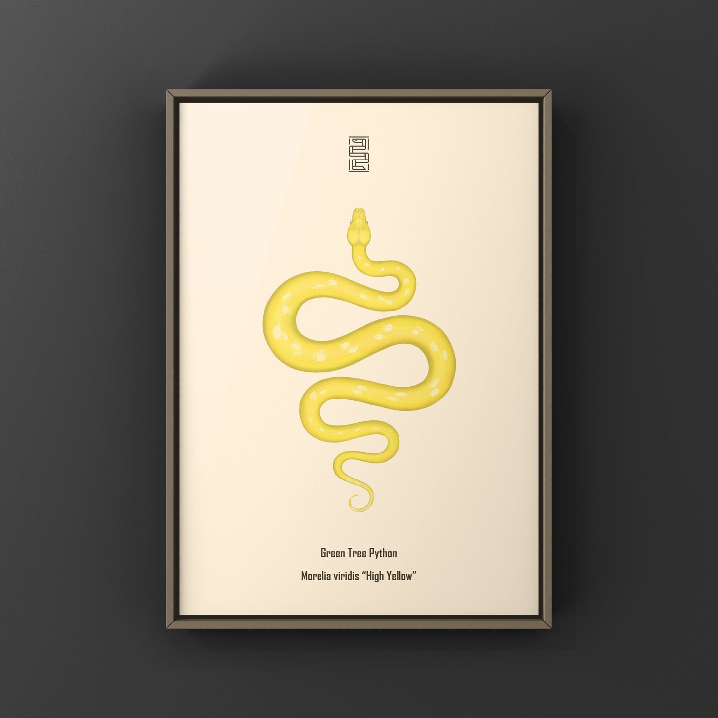 High Yellow Green Tree Python art print by The Silk Ranch featuring detailed illustration of vibrant Morelia viridis snake.