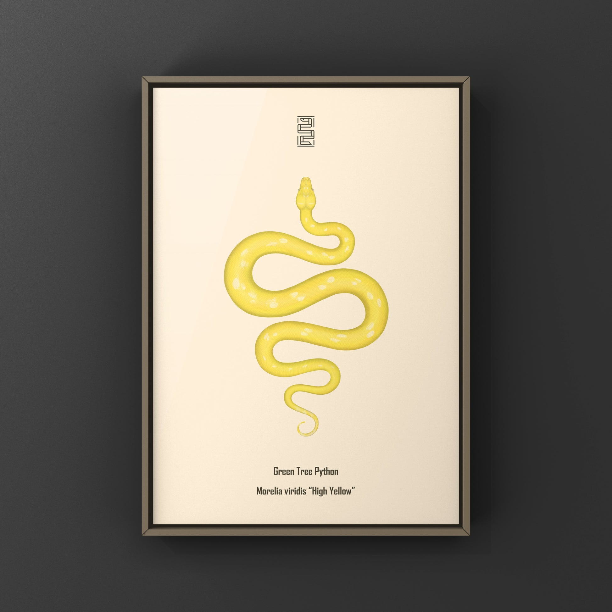 High Yellow Green Tree Python art print by The Silk Ranch featuring detailed illustration of vibrant Morelia viridis snake.