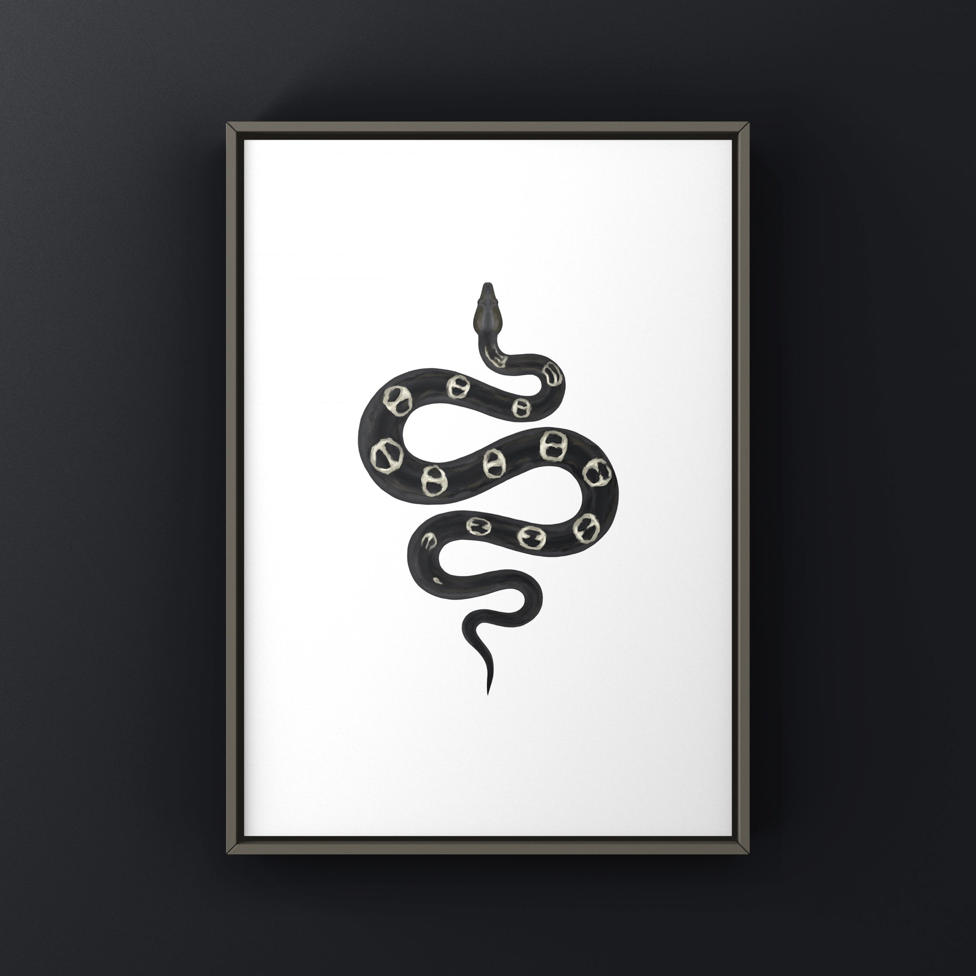 Colombian Red Tail Boa art print featuring a detailed illustration of a Boa imperator on white background.