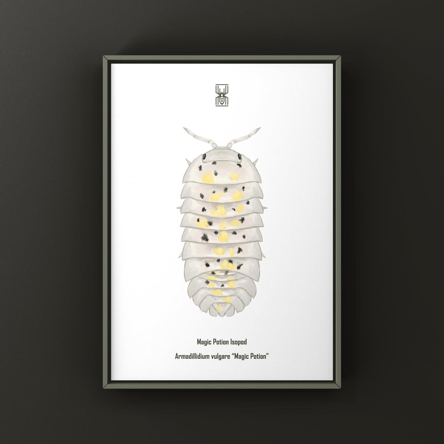 Colorful art print of a Magic Potion Isopod (Armadillidium vulgare "Magic Potion") by The Silk Ranch, showcasing detailed illustrations.