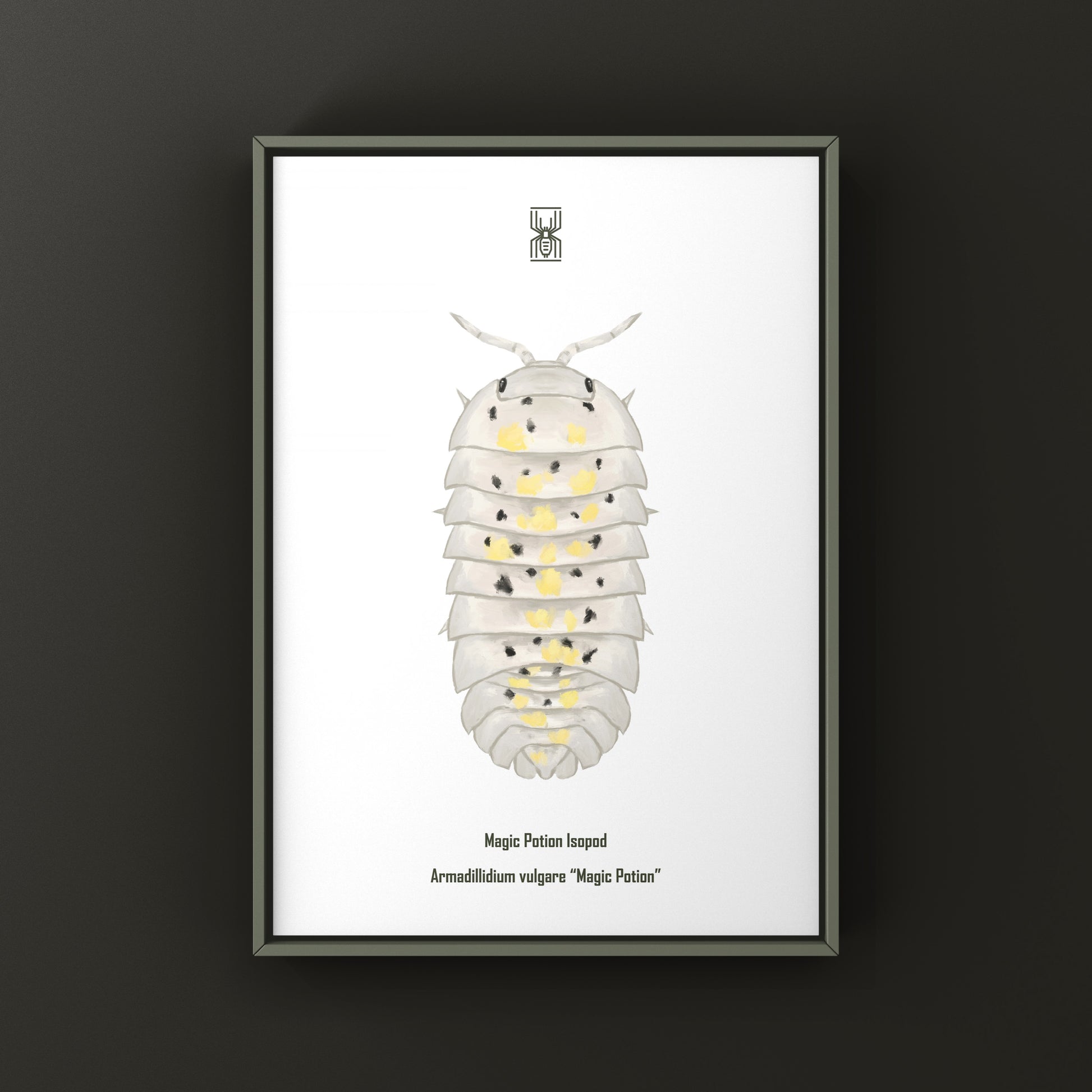 Colorful art print of a Magic Potion Isopod (Armadillidium vulgare "Magic Potion") by The Silk Ranch, showcasing detailed illustrations.