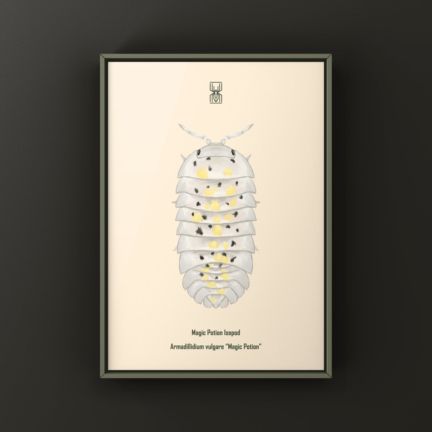 Colorful art print of a Magic Potion Isopod (Armadillidium vulgare) featuring vibrant illustrations of this unique crustacean.