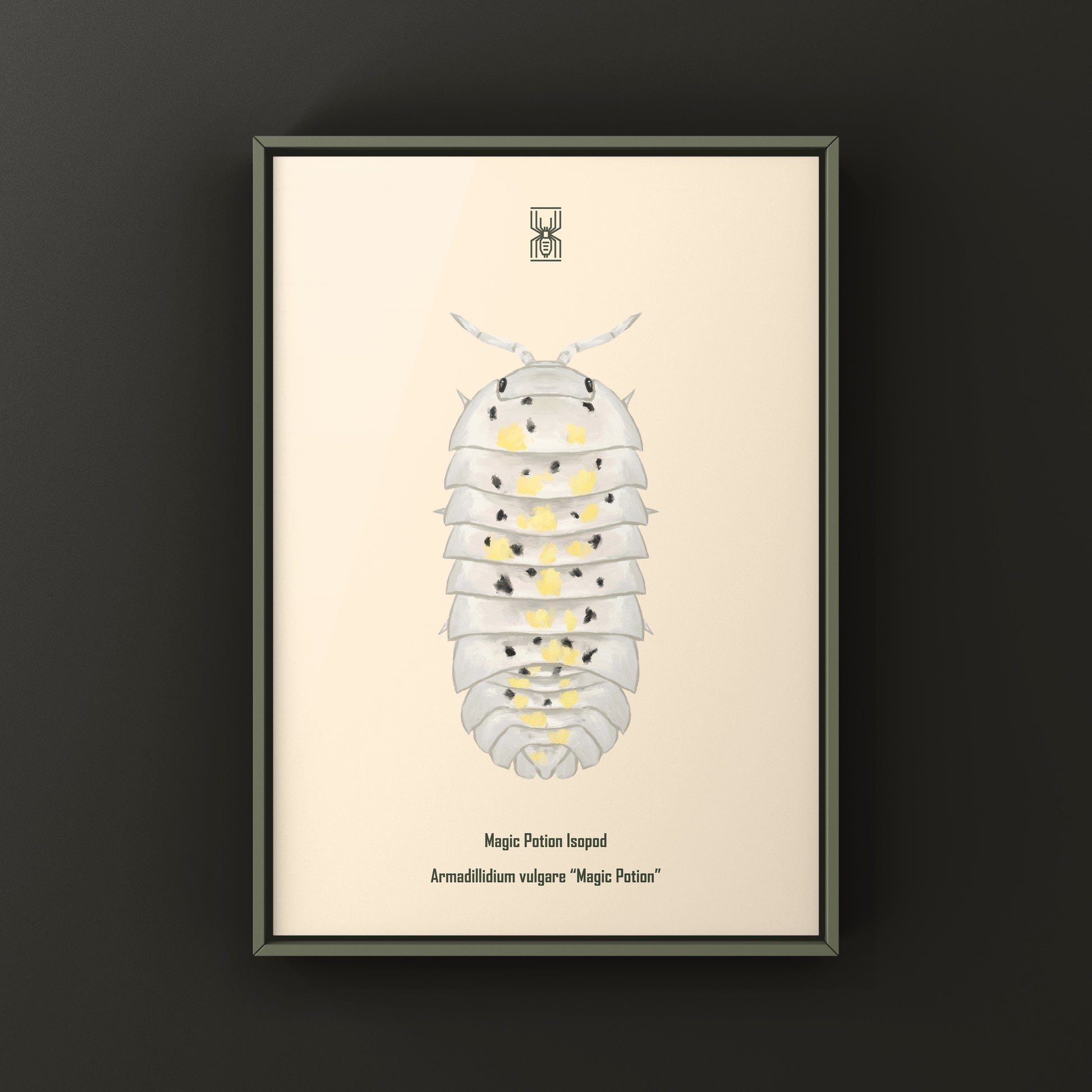 Colorful art print of a Magic Potion Isopod (Armadillidium vulgare) featuring vibrant illustrations of this unique crustacean.