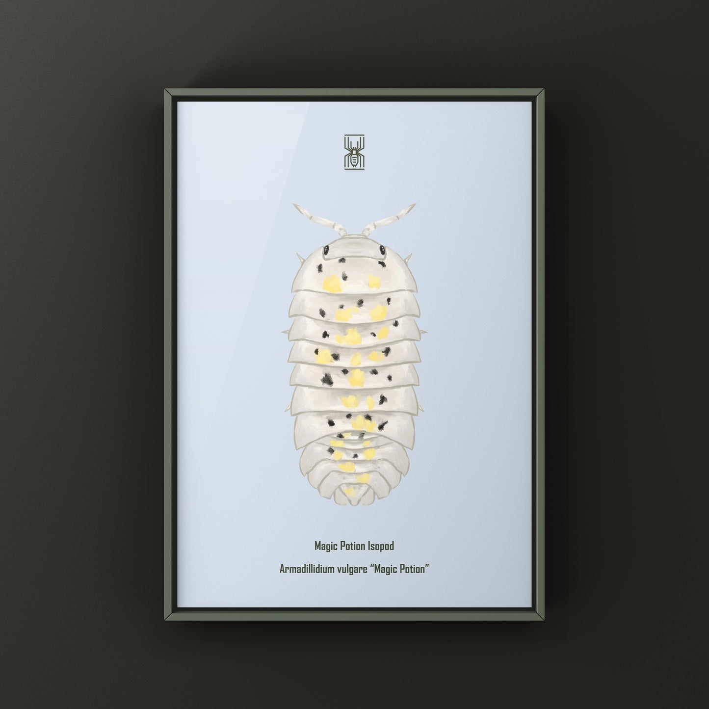 Colorful art print of a Magic Potion Isopod (Armadillidium vulgare) by The Silk Ranch, showcasing vibrant details of this unique creature.