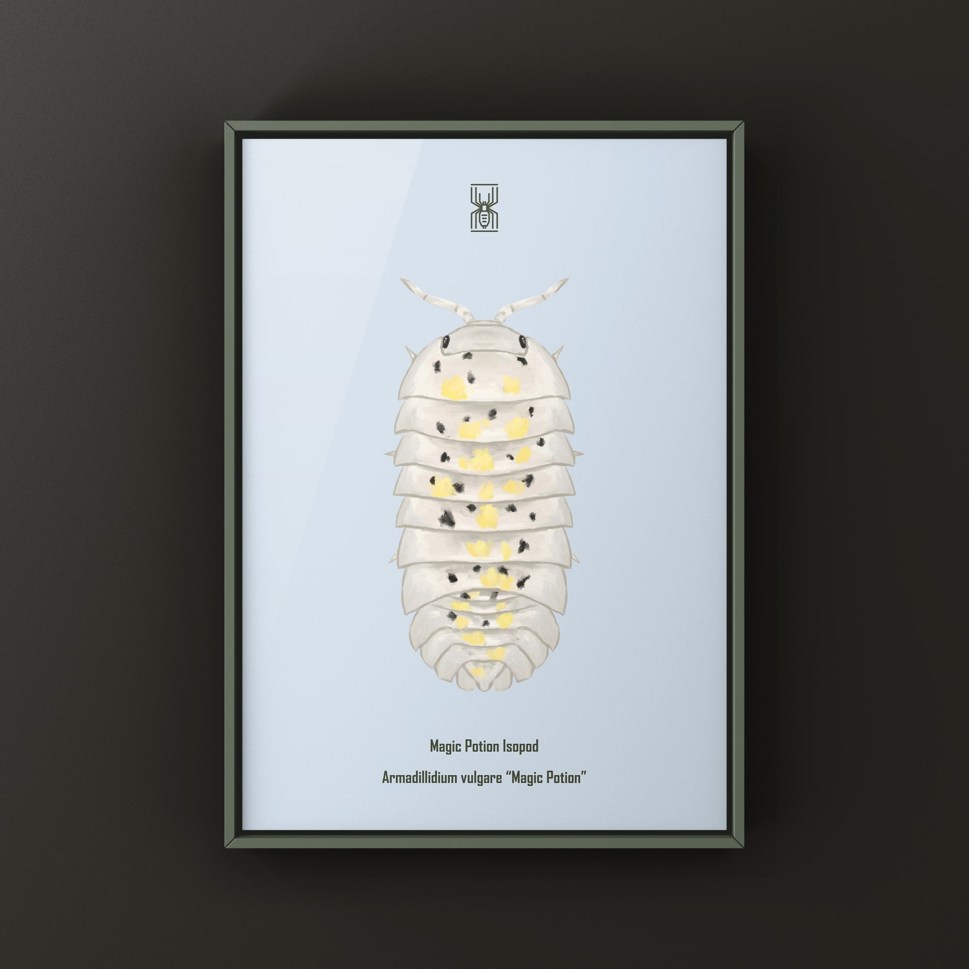 Colorful art print of a Magic Potion Isopod (Armadillidium vulgare) by The Silk Ranch, showcasing vibrant details of this unique creature.