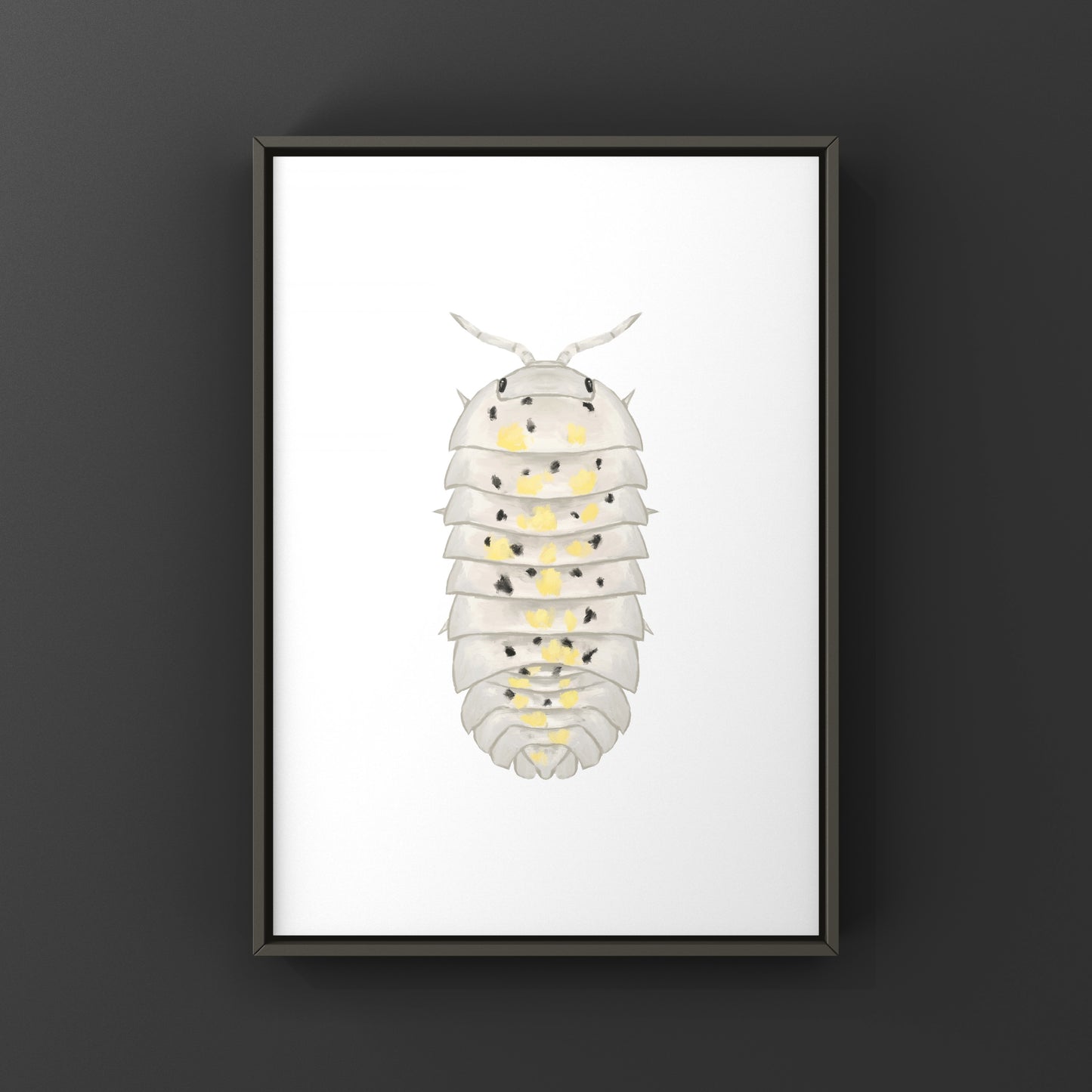 Colorful art print of a Magic Potion Isopod (Armadillidium vulgare) by The Silk Ranch, showcasing detailed illustration of the crustacean.