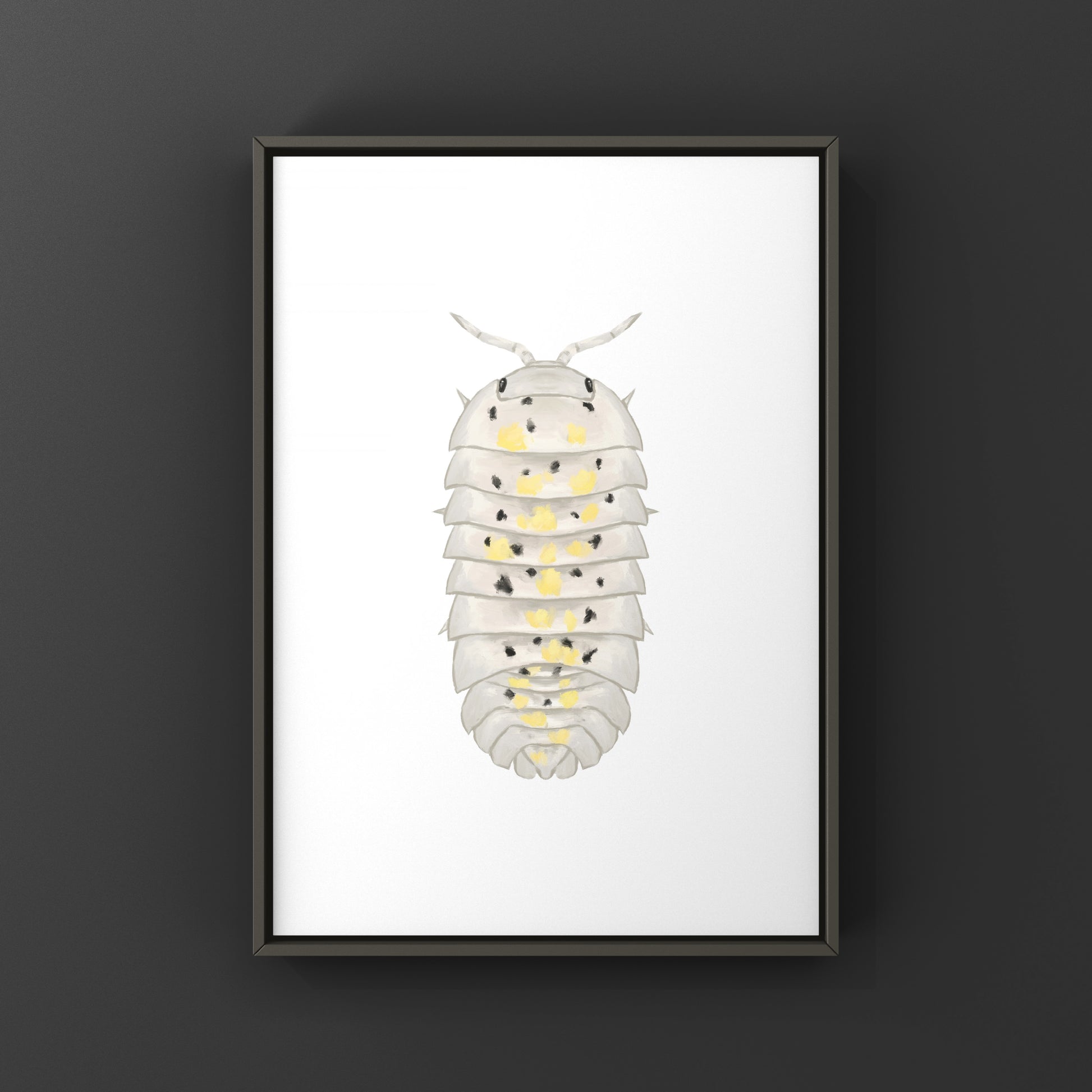 Colorful art print of a Magic Potion Isopod (Armadillidium vulgare) by The Silk Ranch, showcasing detailed illustration of the crustacean.