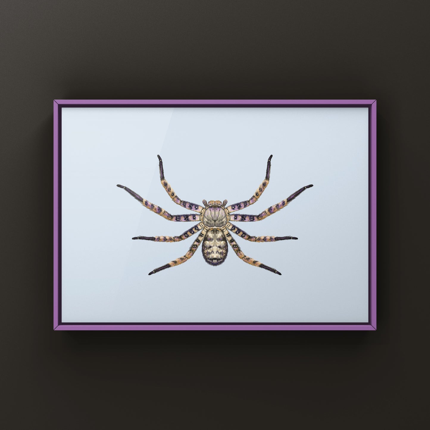 Malaysian Purple Huntsman Spider art print by The Silk Ranch showcasing detailed Heteropoda lunula spider illustration.