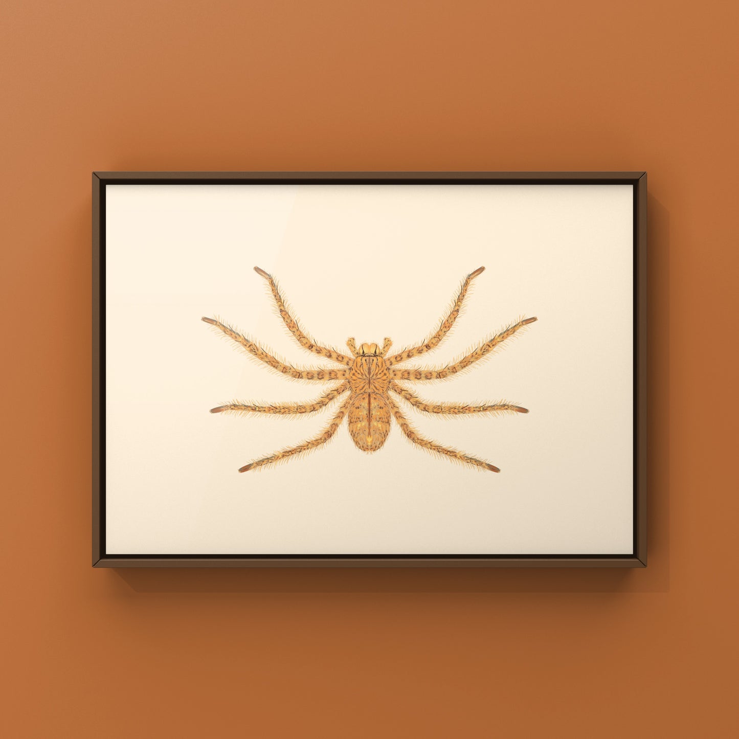 David Bowie Huntsman Spider art print by The Silk Ranch, featuring a detailed illustration of the Heteropoda davidbowie spider.