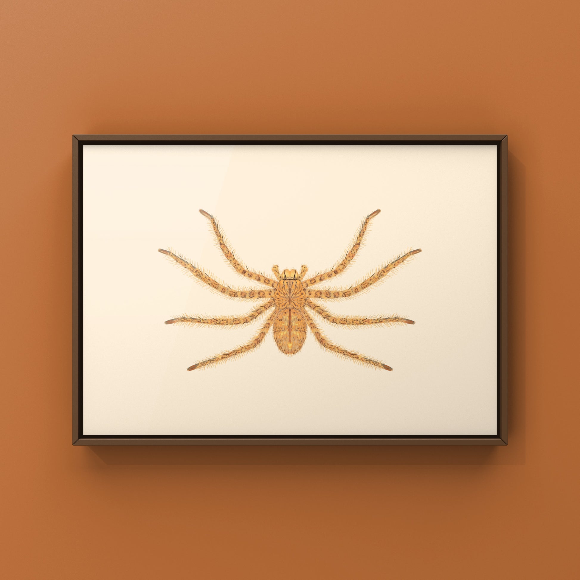 David Bowie Huntsman Spider art print by The Silk Ranch, featuring a detailed illustration of the Heteropoda davidbowie spider.