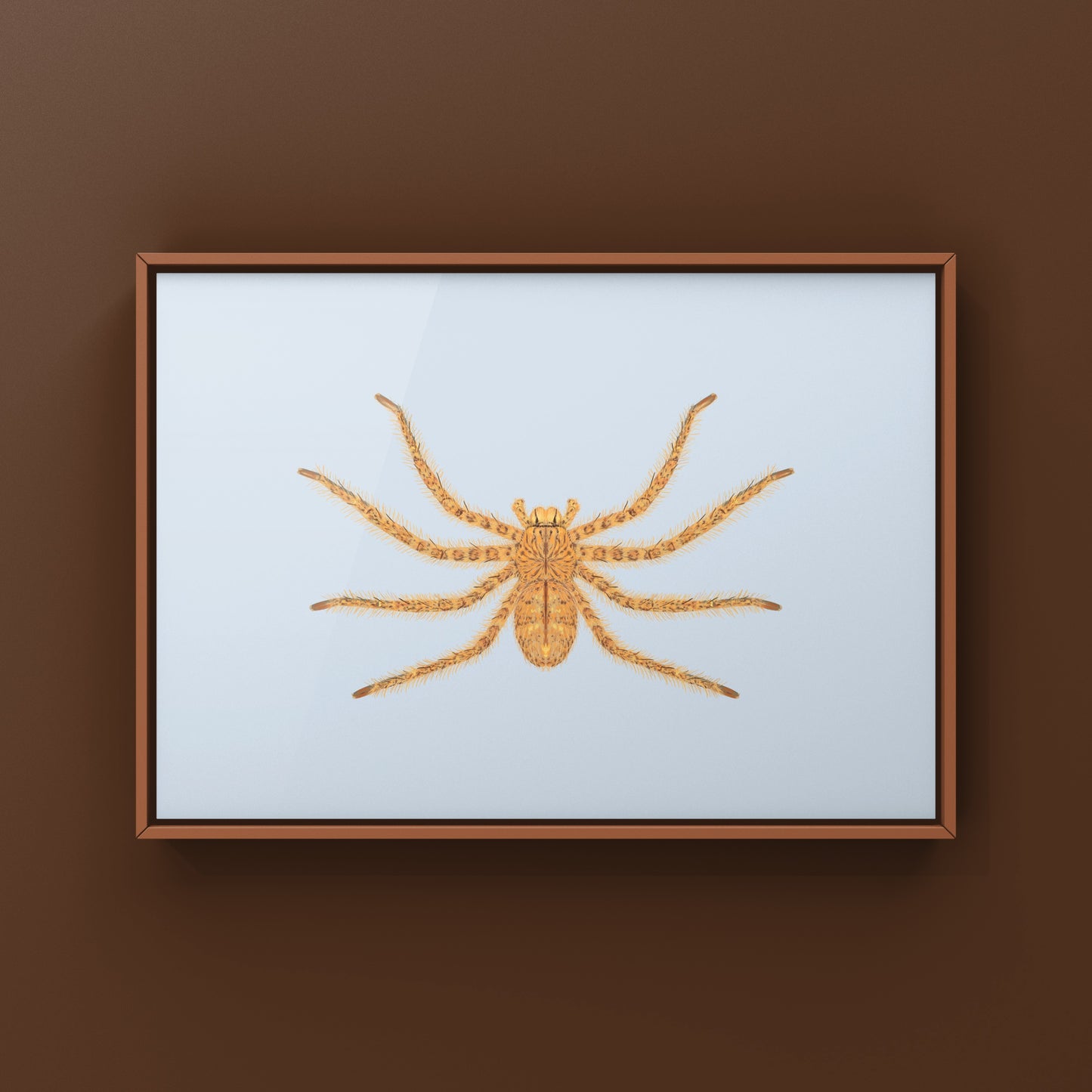David Bowie Huntsman Spider art print by The Silk Ranch showing detailed illustration of Heteropoda davidbowie on white background.