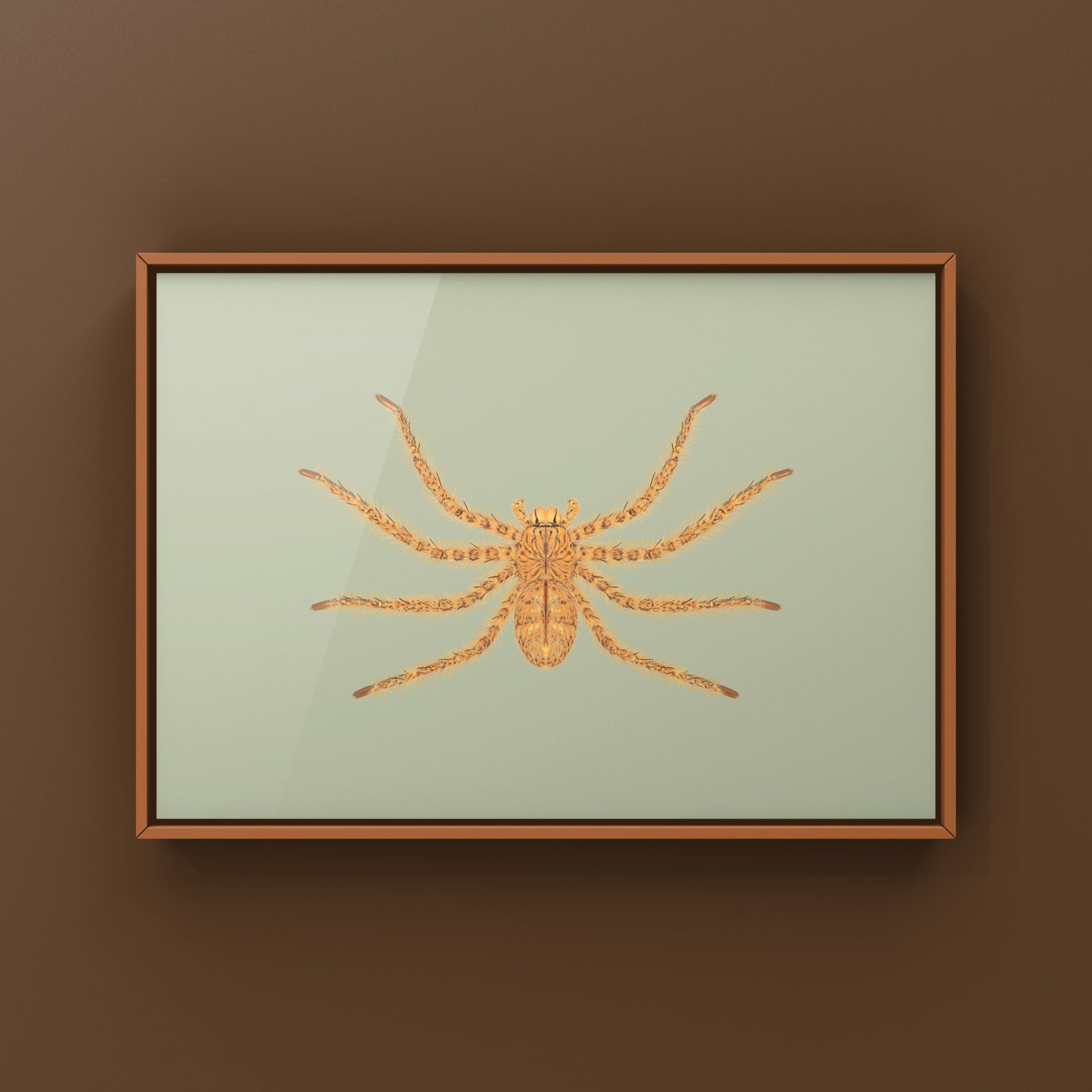 David Bowie Huntsman Spider art print by The Silk Ranch, showcasing detailed imagery of the Heteropoda davidbowie spider.