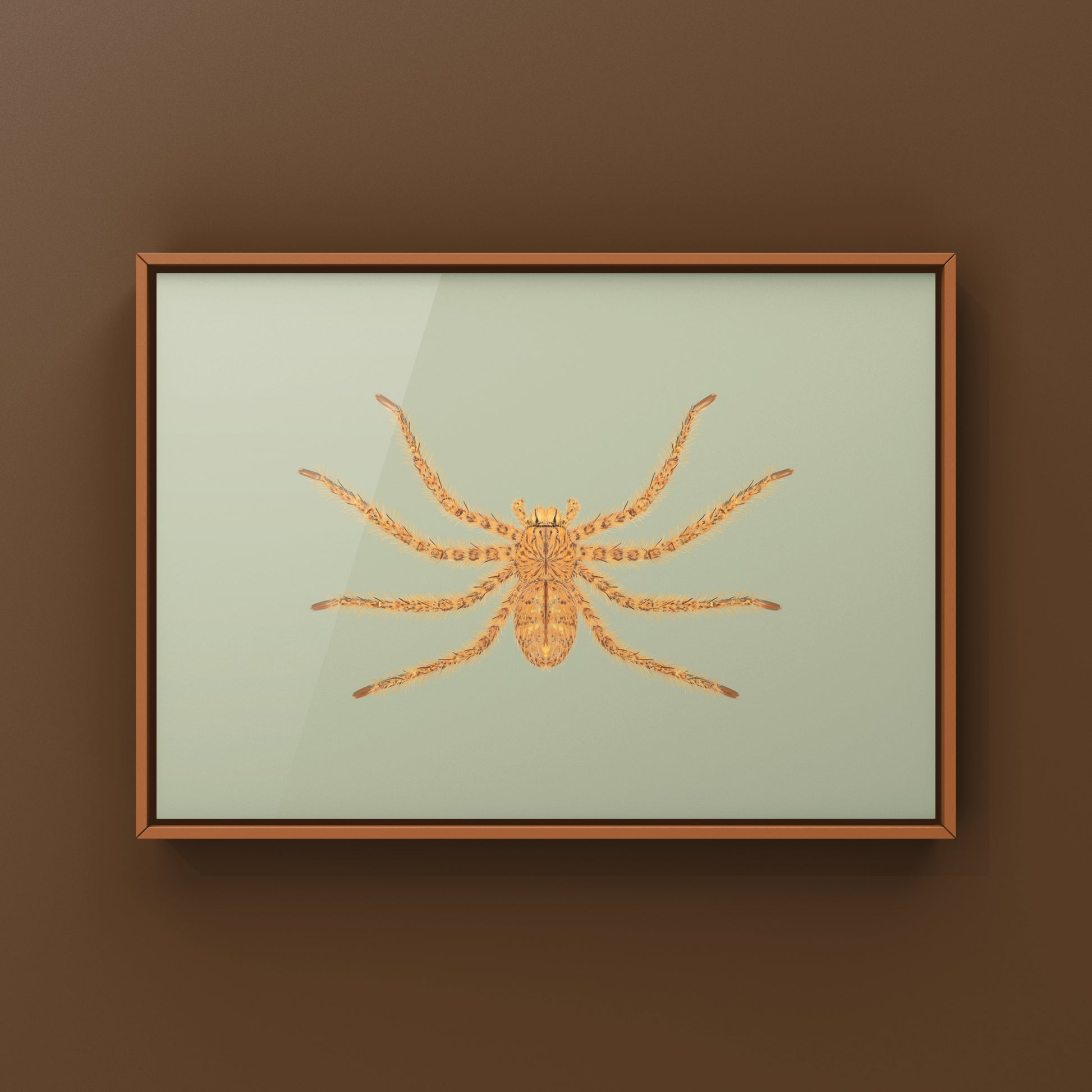 David Bowie Huntsman Spider art print by The Silk Ranch, showcasing detailed imagery of the Heteropoda davidbowie spider.