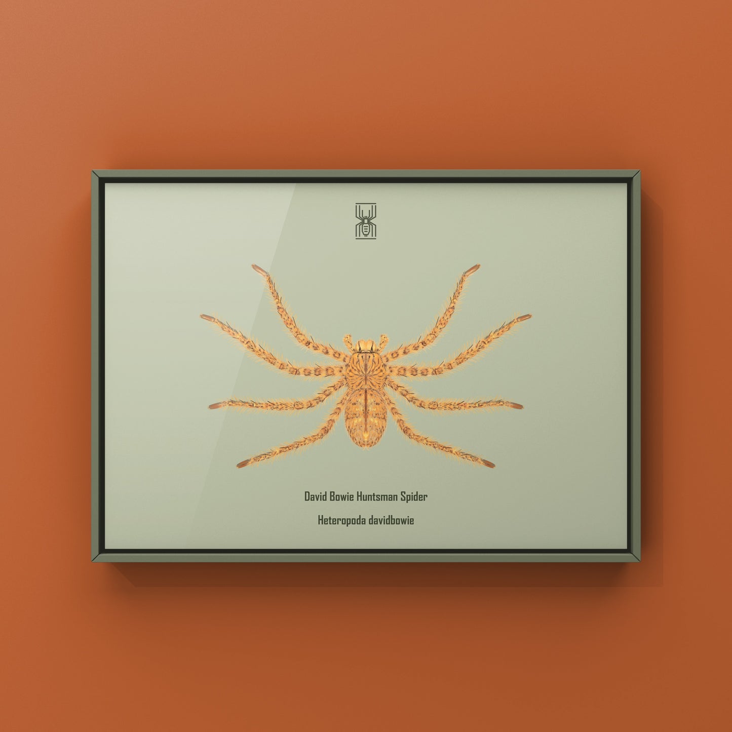 David Bowie Huntsman Spider art print by The Silk Ranch, showcasing detailed Heteropoda davidbowie spider illustration on textured paper.