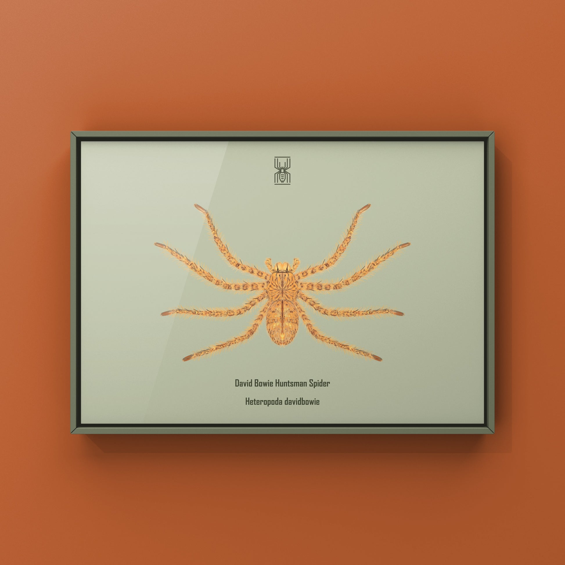 David Bowie Huntsman Spider art print by The Silk Ranch, showcasing detailed Heteropoda davidbowie spider illustration on textured paper.