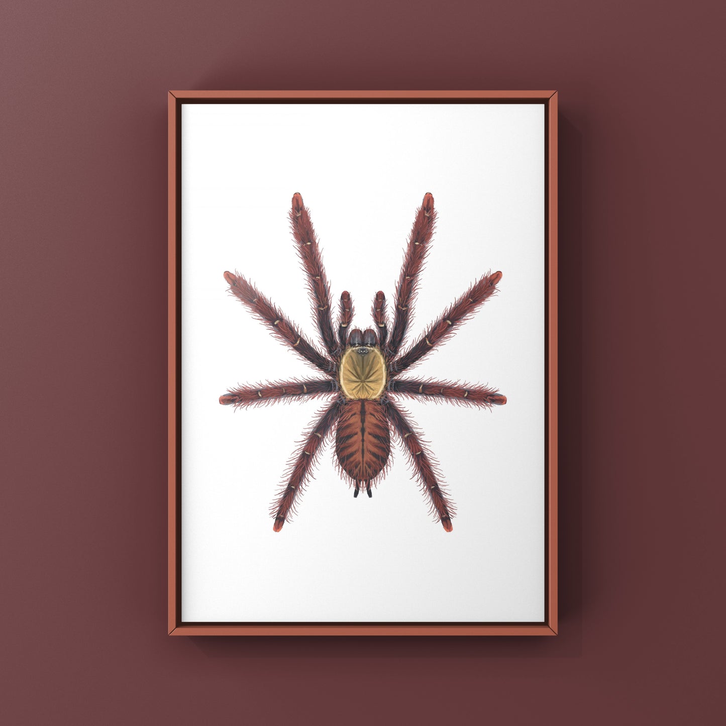 Sabah Red Earth Tiger Tarantula art print by The Silk Ranch, showcasing vibrant red and black spider details on textured paper.