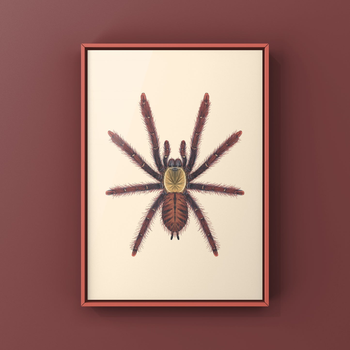 Detailed art print of Sabah Red Earth Tiger Tarantula (Phormingochilus sp.) showcasing its vibrant red and brown coloration.