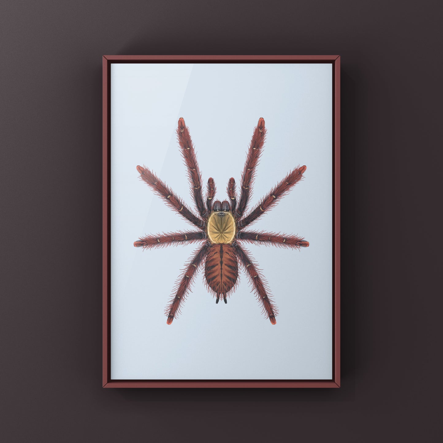 Colorful art print of a Sabah Red Earth Tiger Tarantula (Phormingochilus sp. Sabah Red) by The Silk Ranch showcasing detailed spider illustration.