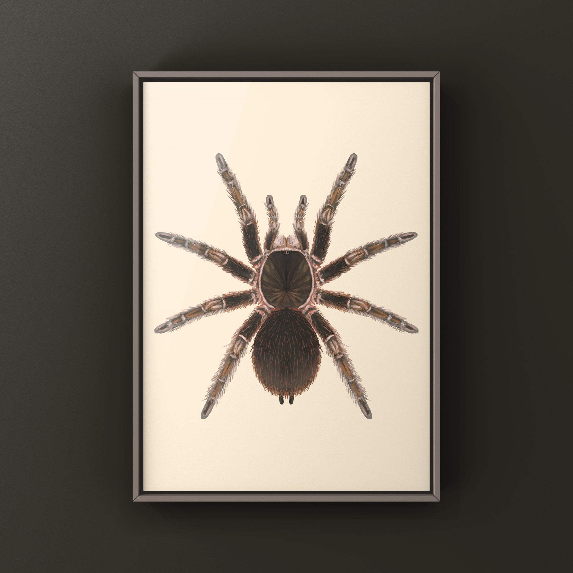 Close-up of a Cuban Birdeater Tarantula Art Print by The Silk Ranch, showcasing detailed spider artwork on textured paper.