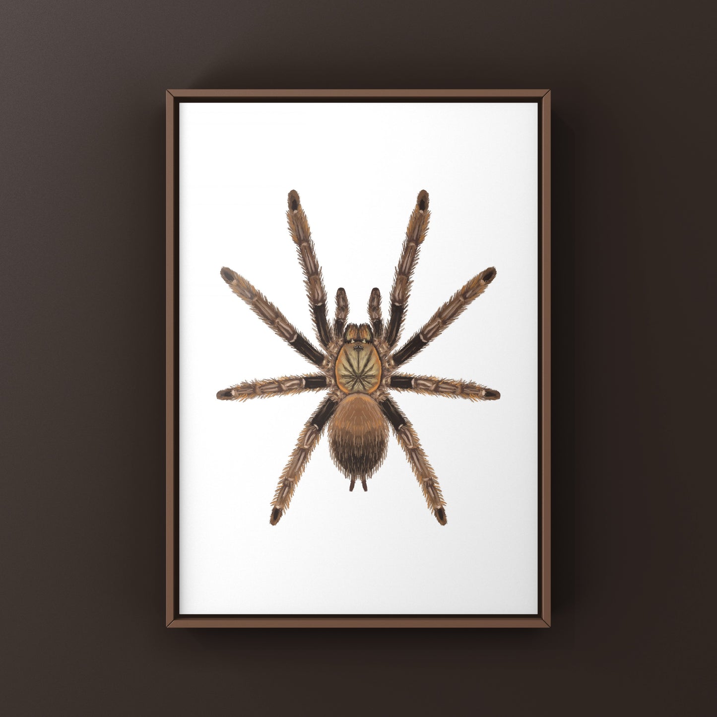 Colorful art print of a Psalmopoeus reduncus tarantula, showcasing vibrant orange and black details, by The Silk Ranch.