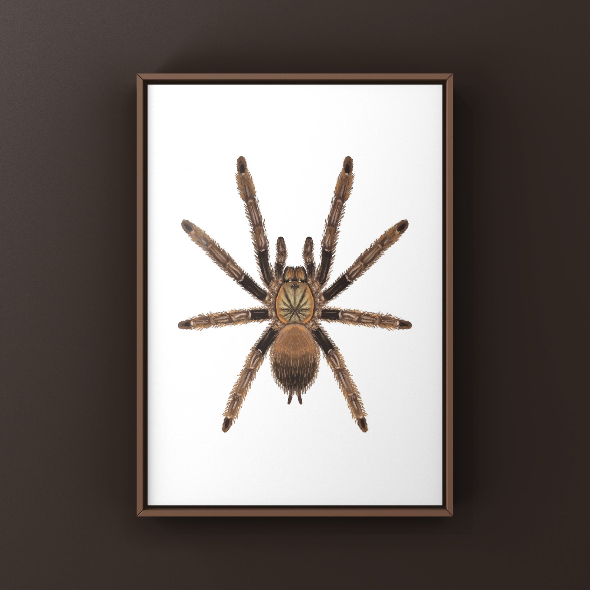 Colorful art print of a Psalmopoeus reduncus tarantula, showcasing vibrant orange and black details, by The Silk Ranch.